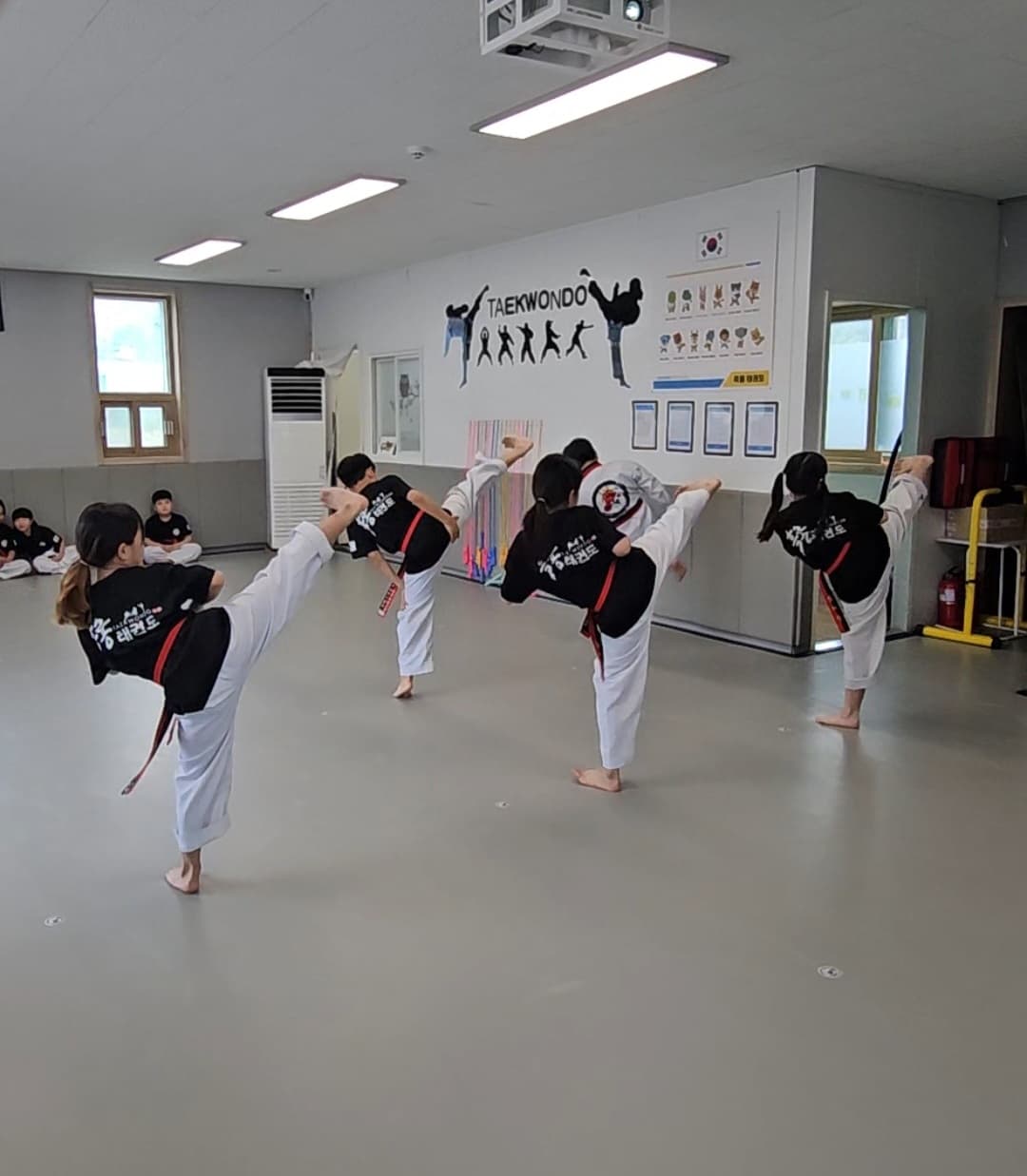 흑룡 태권도장 사진 2