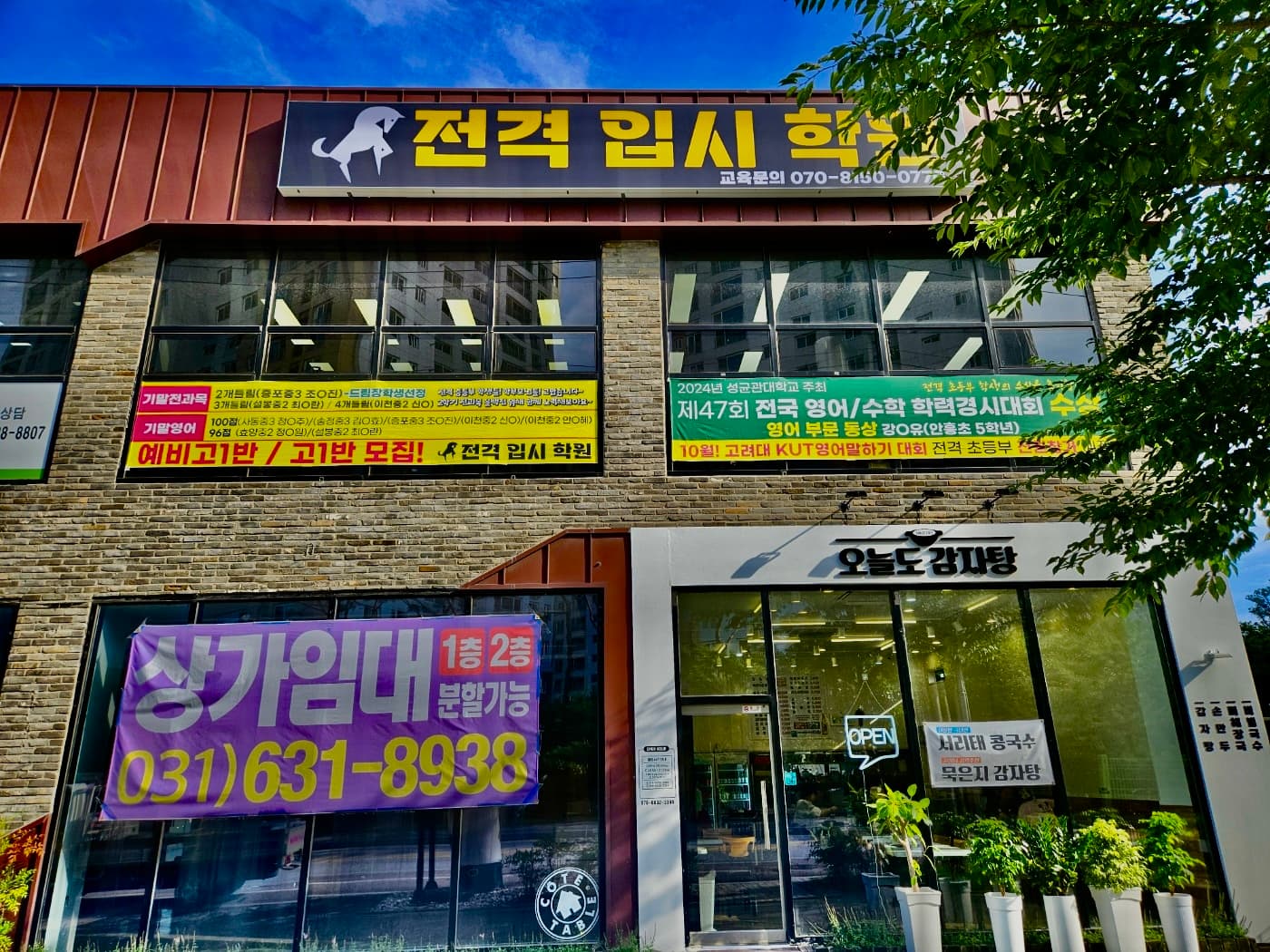 전격입시 학원 사진 8