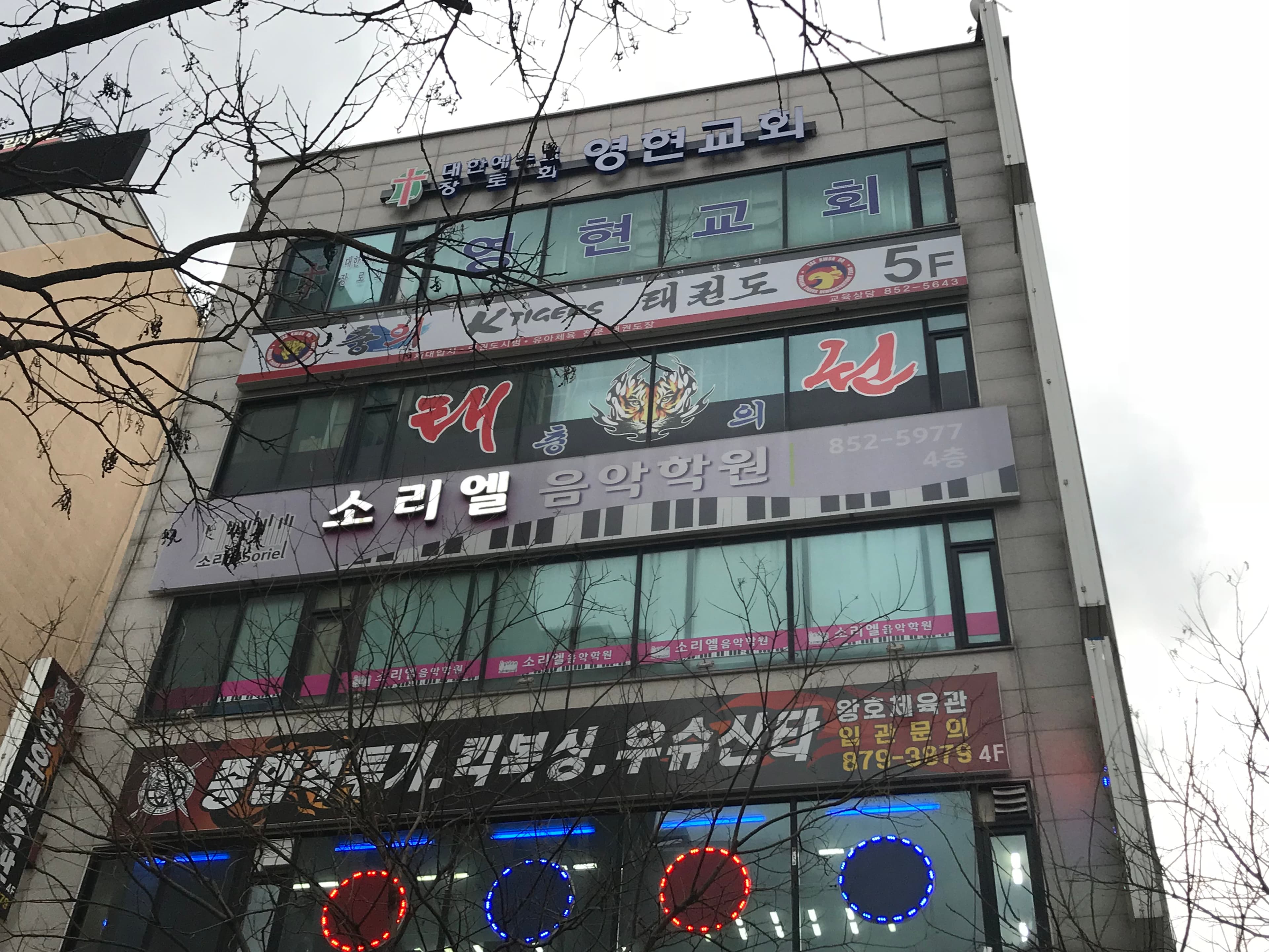 충의Ktigers 태권도 사진 1