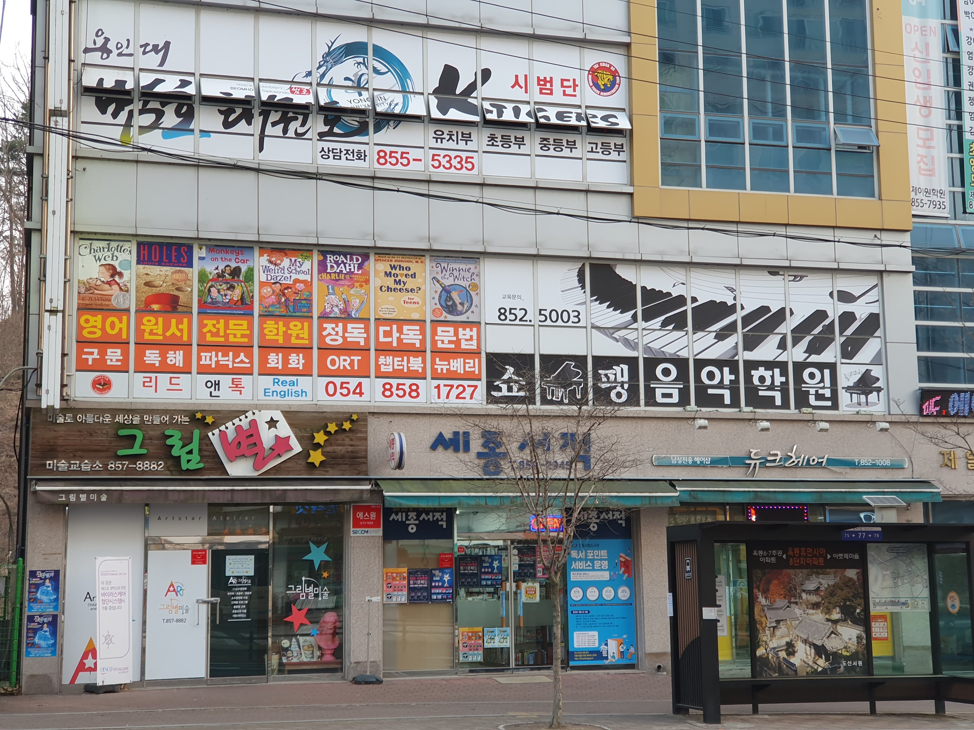 리얼잉글리쉬 사진 3