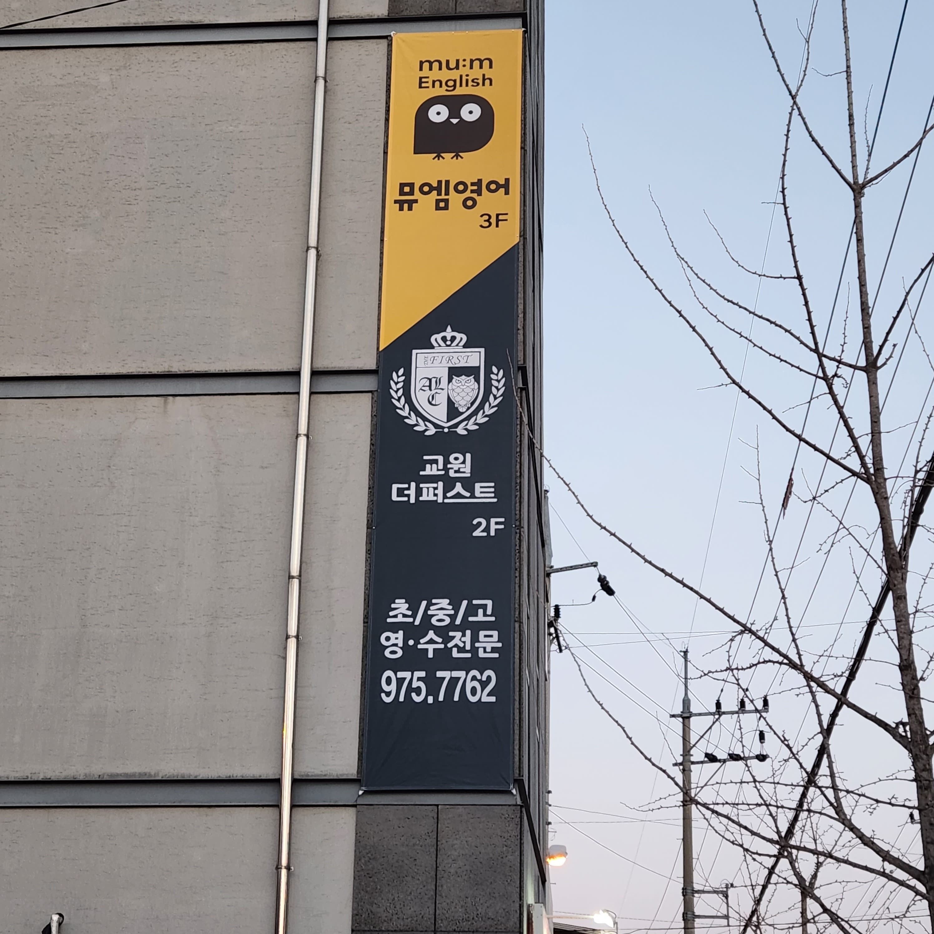 교원더퍼스트 뮤엠영어 왜관석전점 사진 4