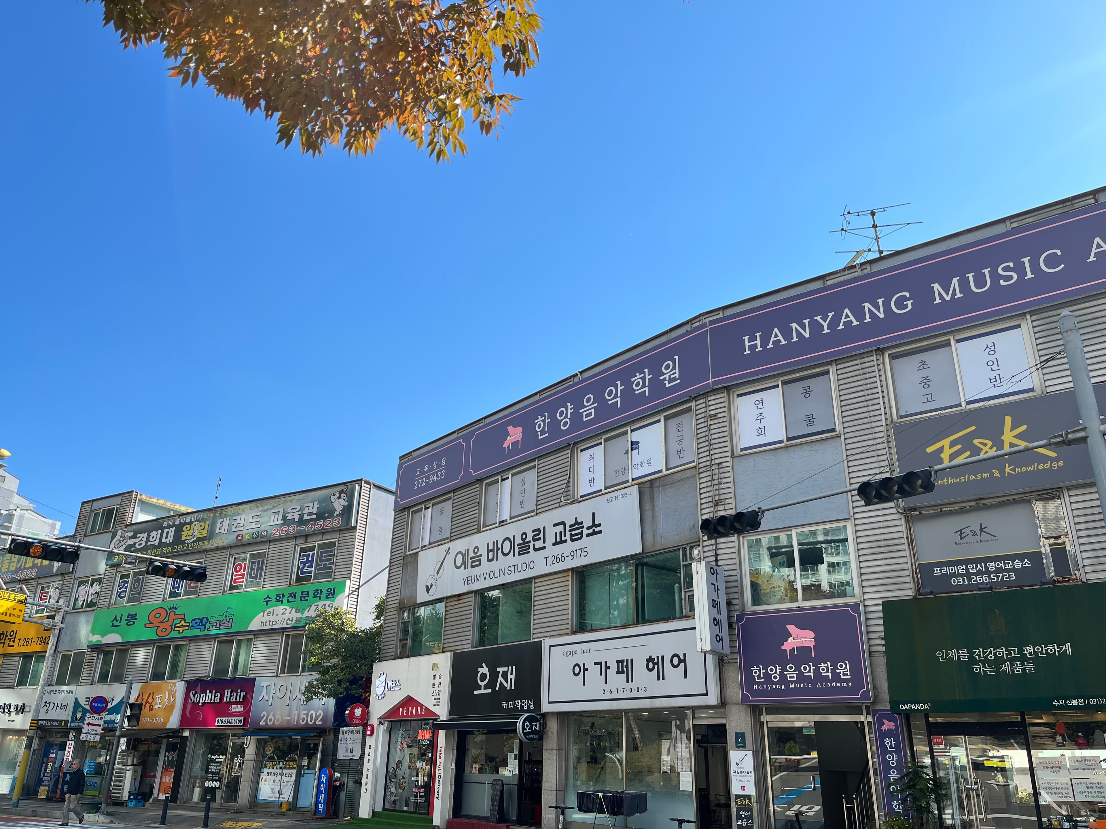 예음 바이올린 교습소 사진 2