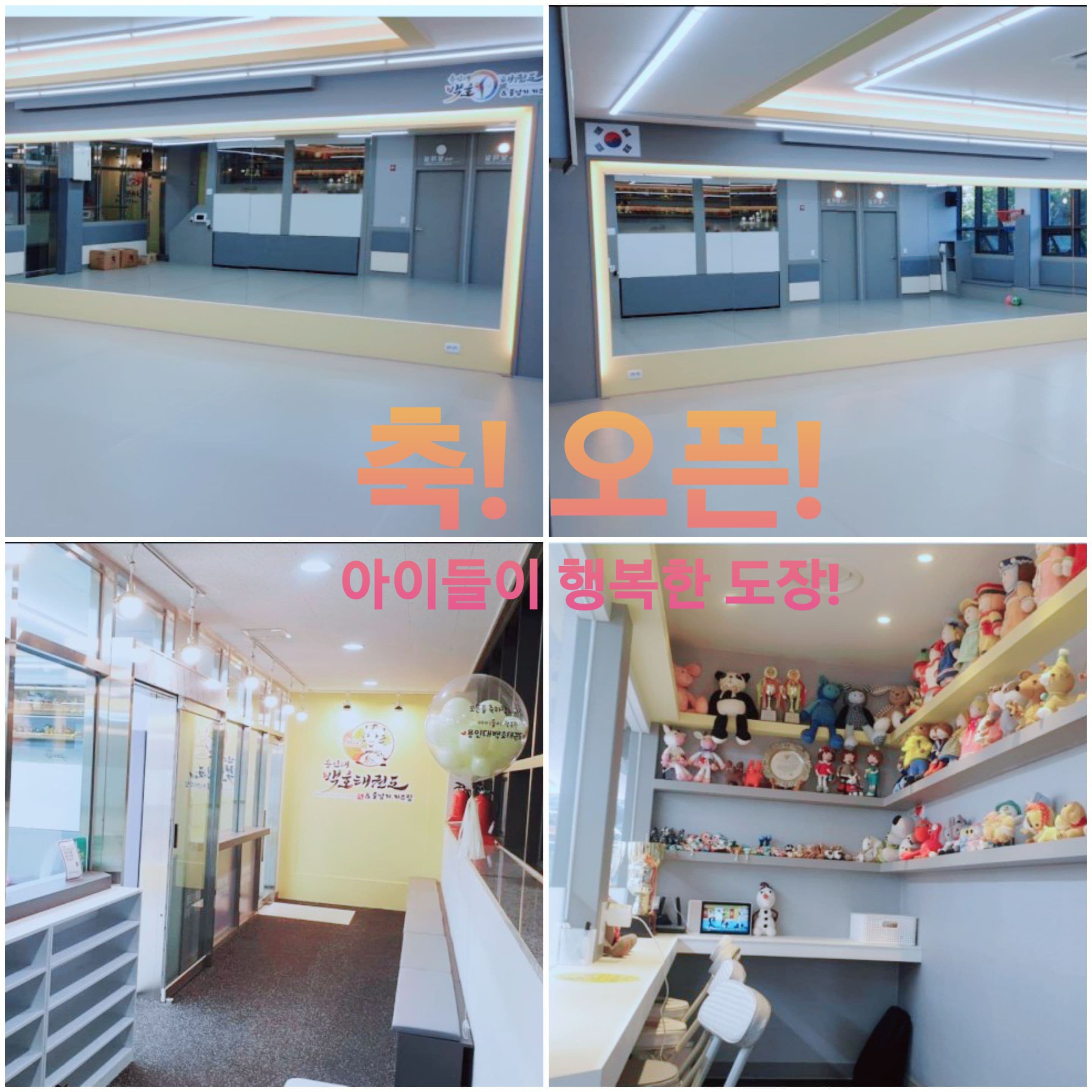 용인대백호 태권도 사진 2