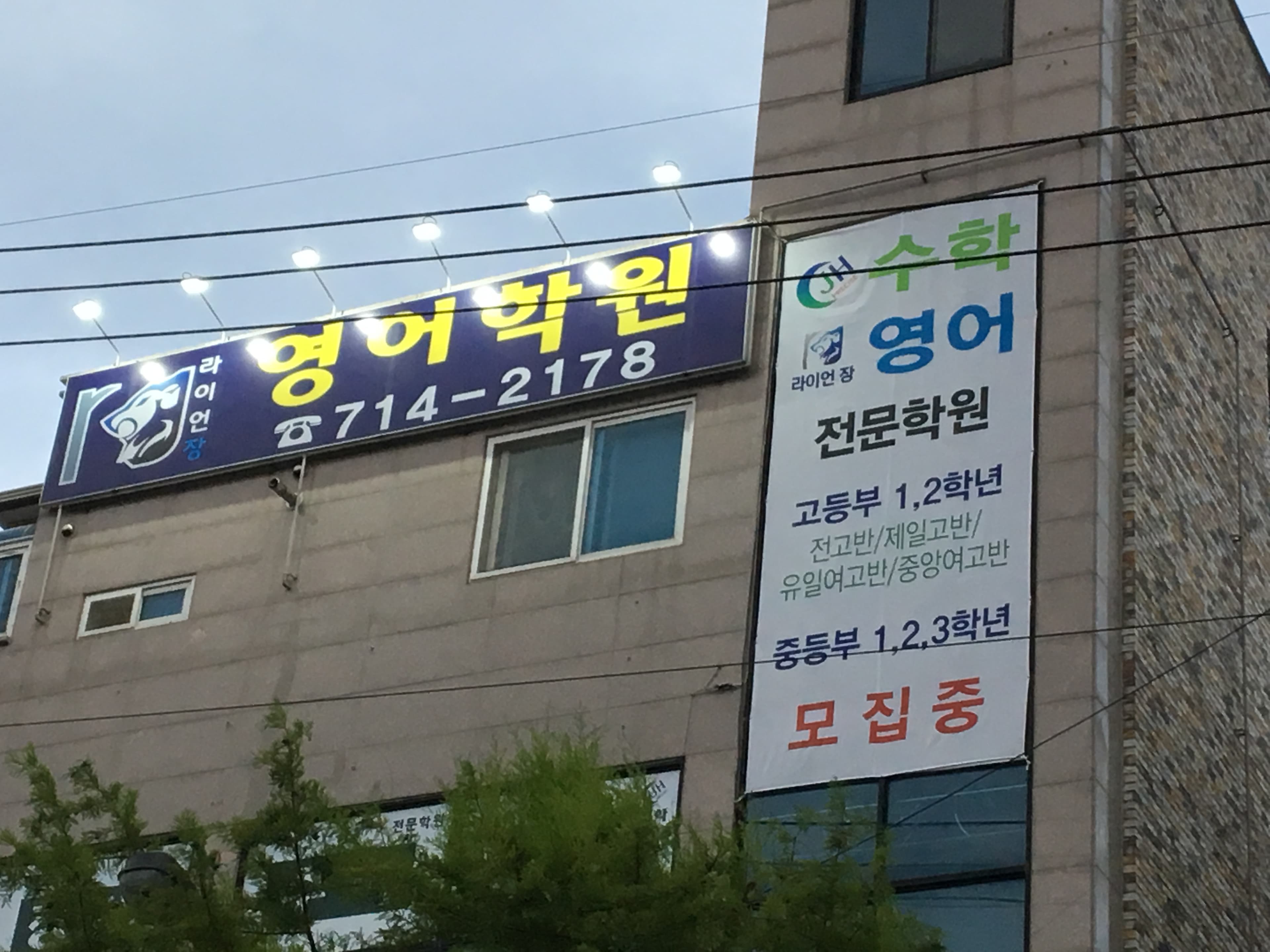 라이언장 영어학원 사진 4