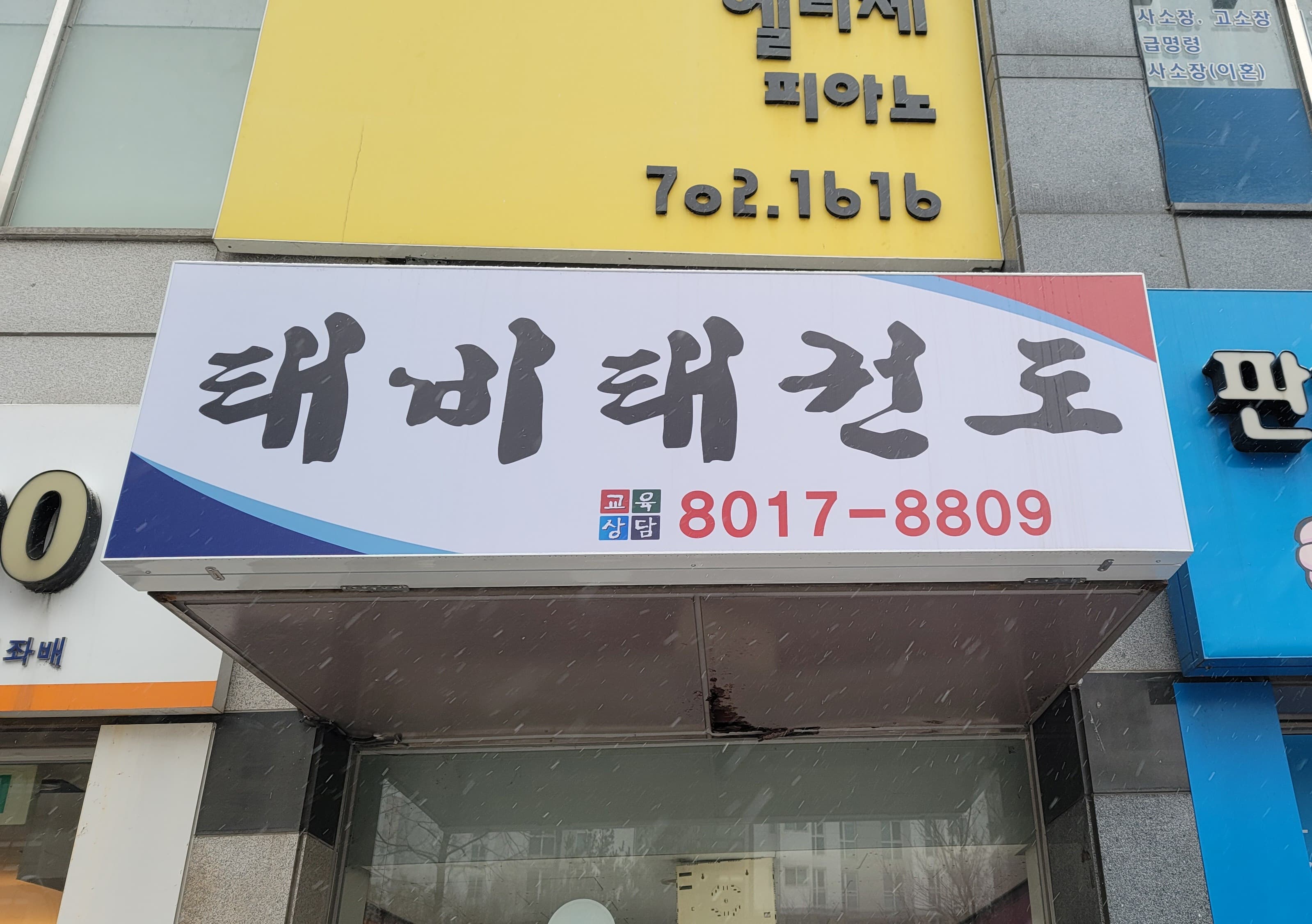 태비 태권도 사진 2