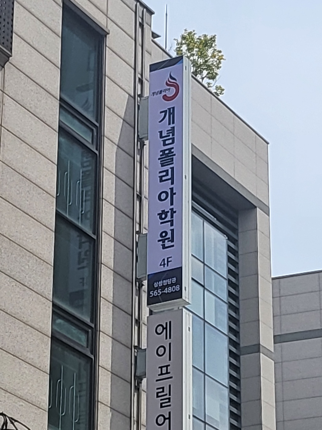 개념폴리아 삼성청담관 사진 4