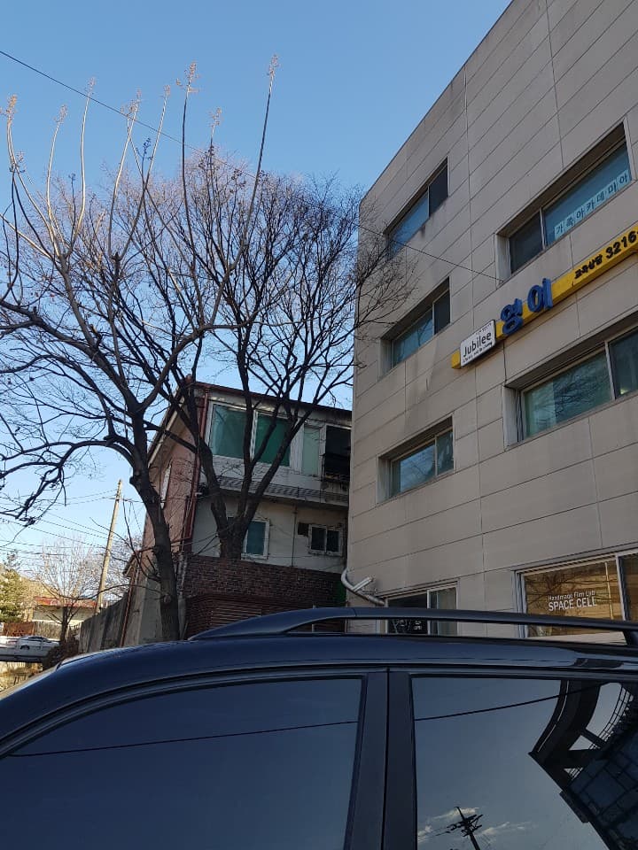 쥬빌리 영어 사진 4