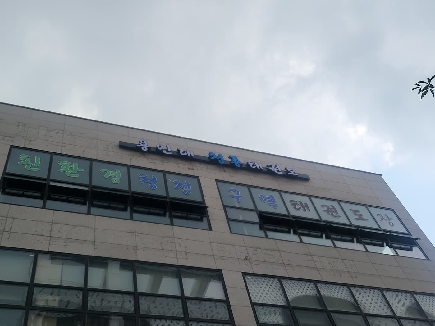 용인대청룡 태권도 사진 3