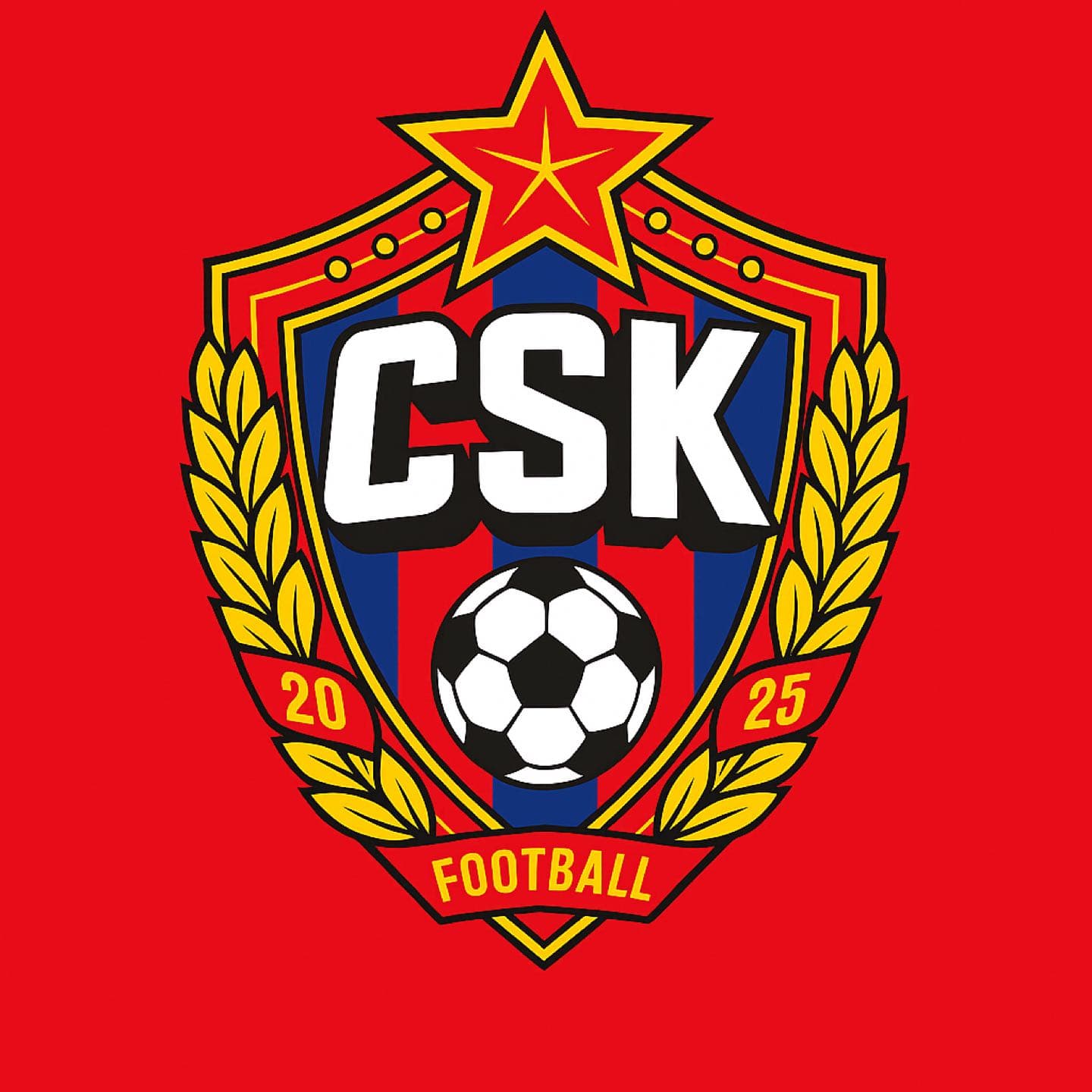CSK축구클럽 사진 1