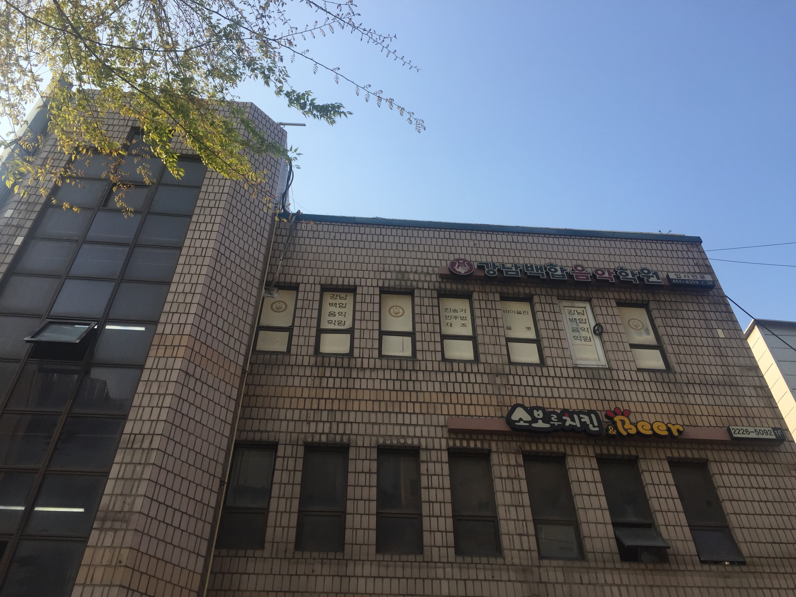 강남백합 음악학원 사진 1