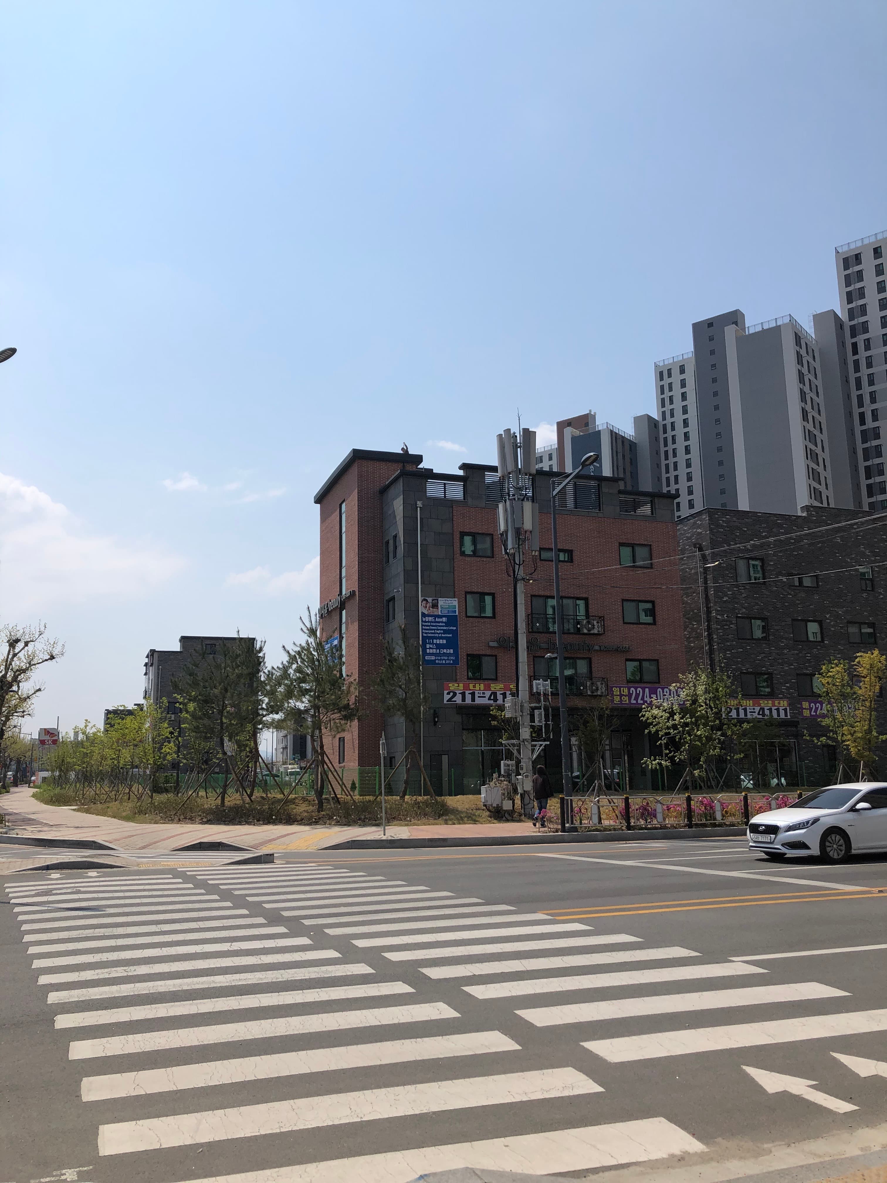 스마트해법 영어 Ann쌤교실점 사진 5