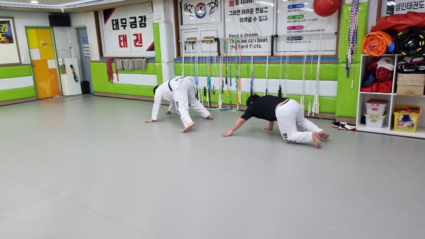 태무금강 태권도 사진 3