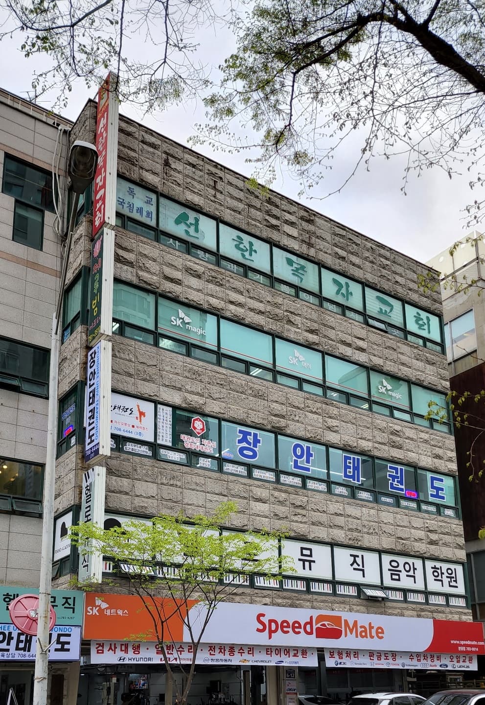 경희대 장안 태권도 사진 3