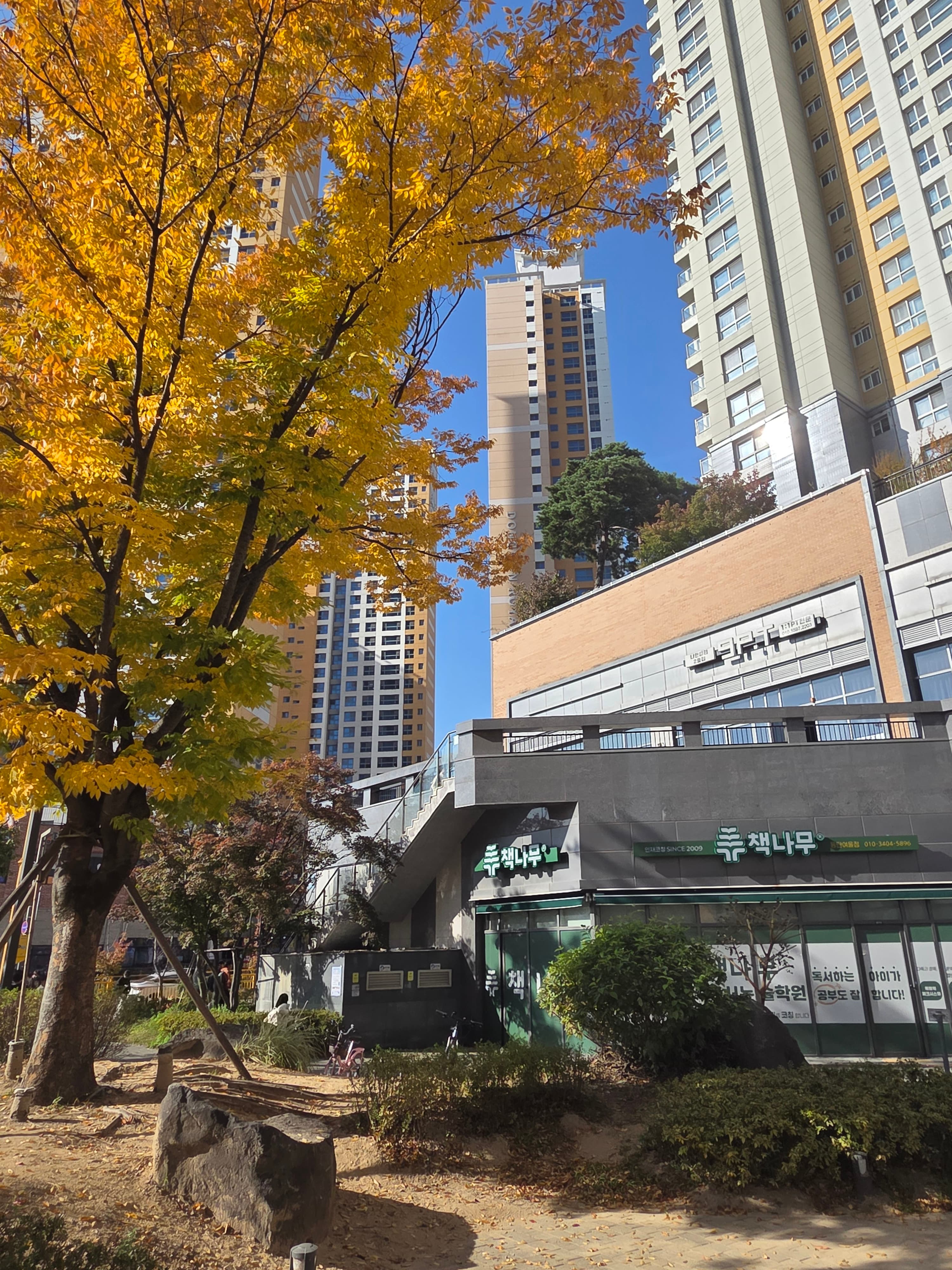 책나무여울 독서논술 학원 사진 2