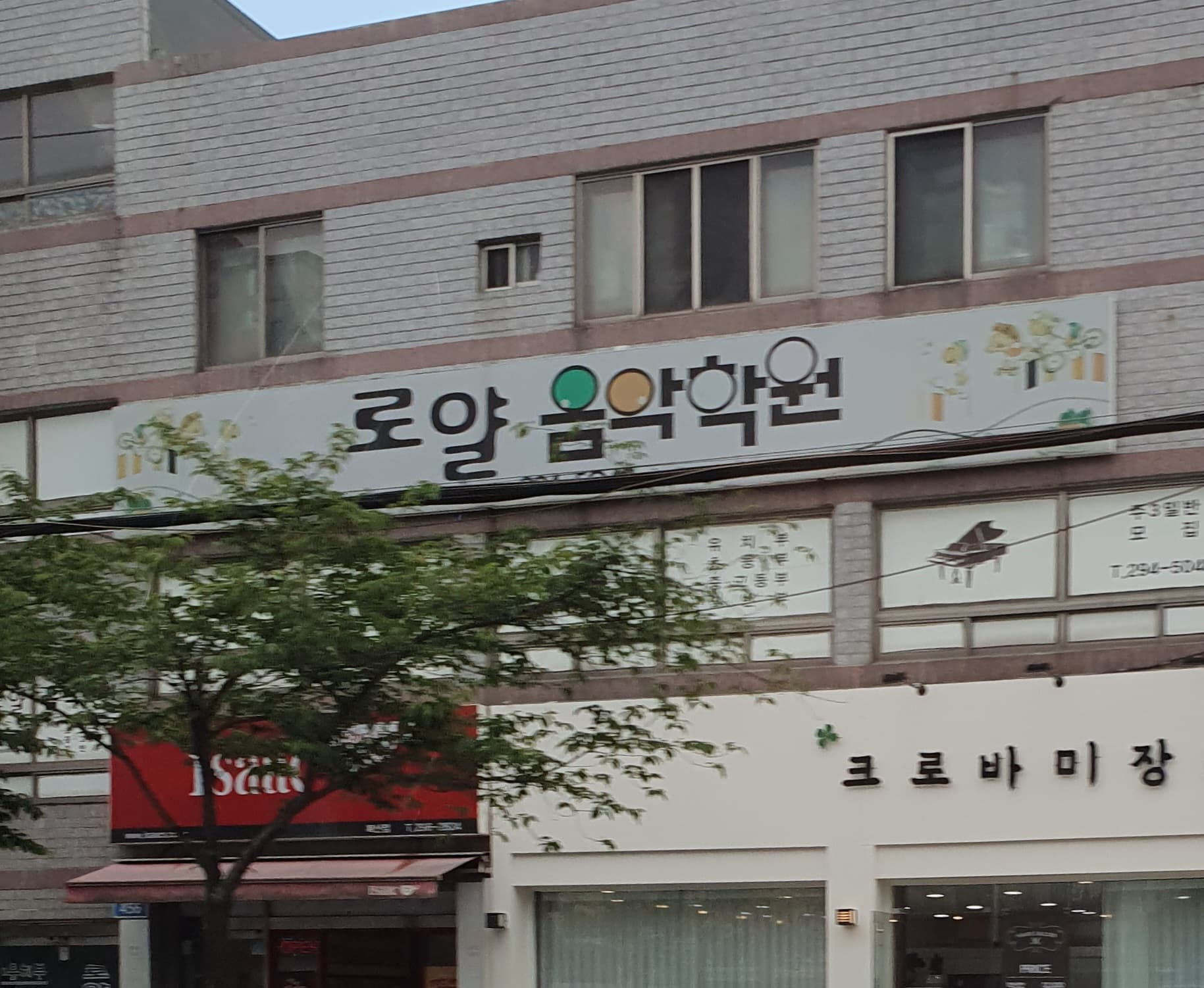 로얄 음악학원 사진 2