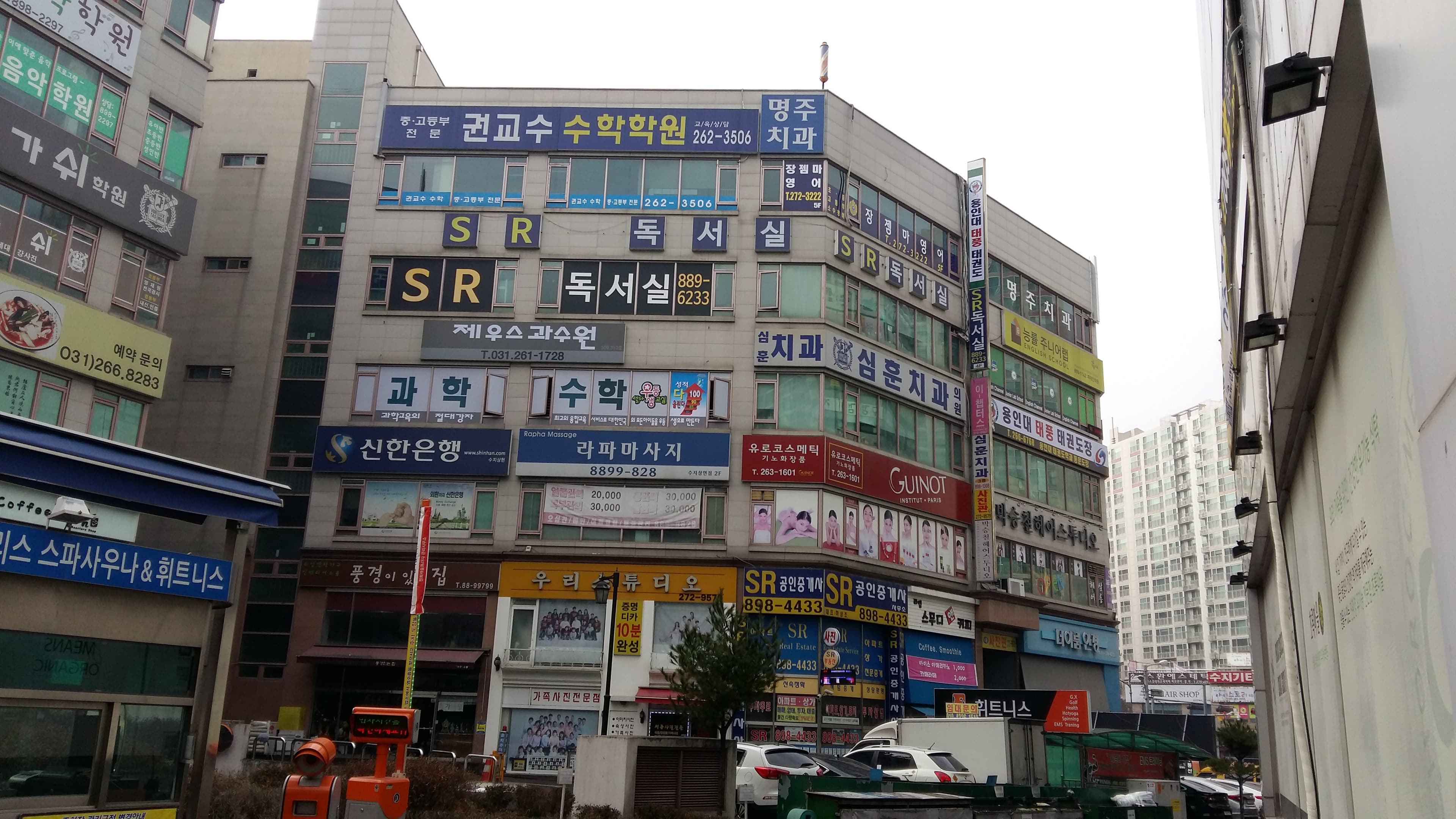 용인대 태풍 태권도 사진 2