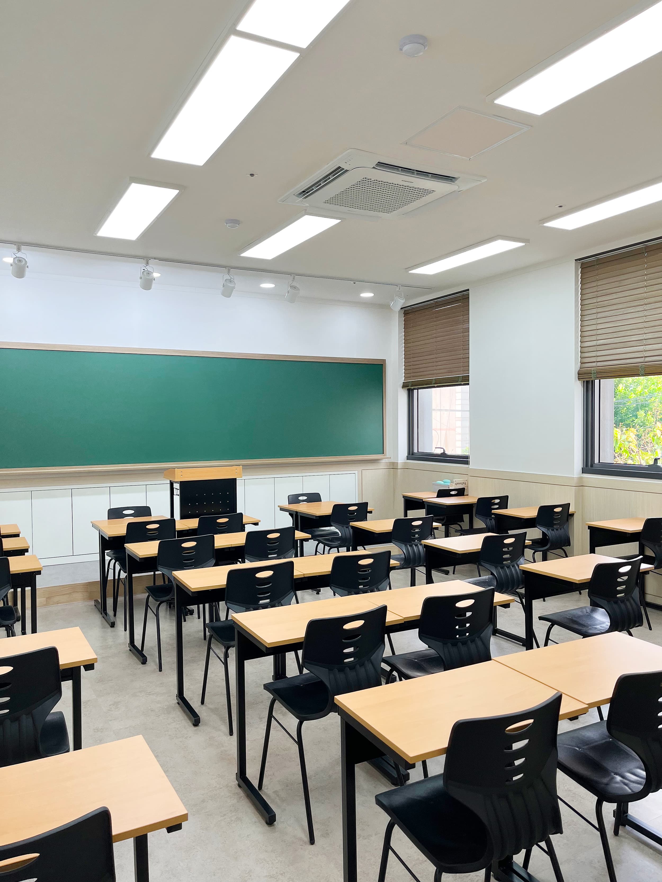 수학 지능 사진 4