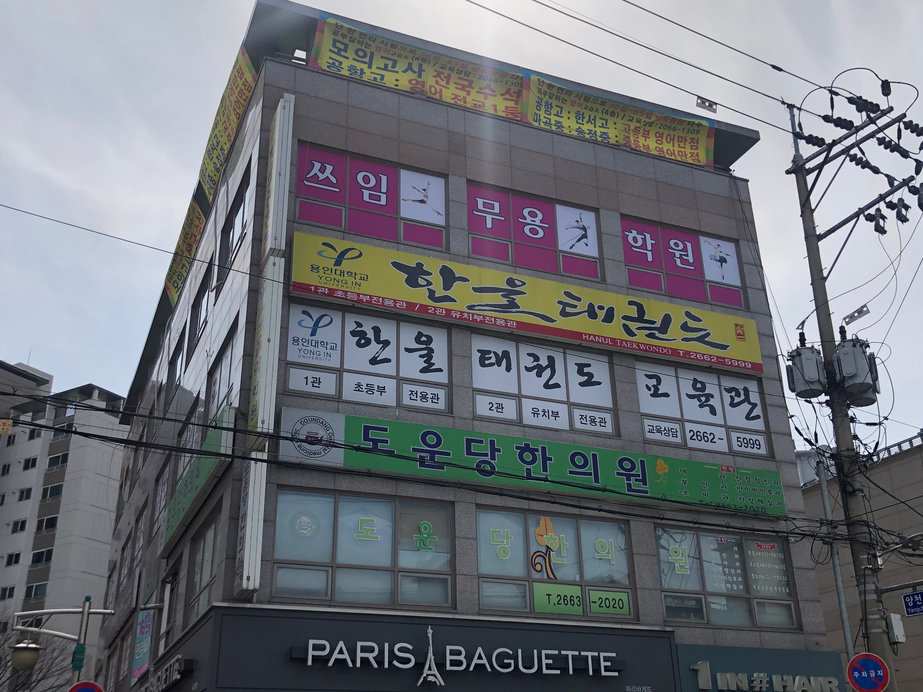 용인대 한울 태권도 사진 6