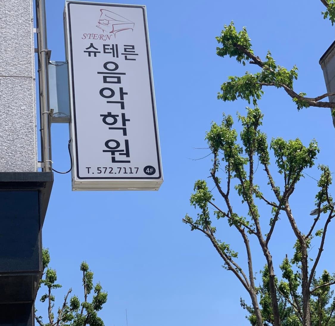 슈테른 음악학원 사진 7