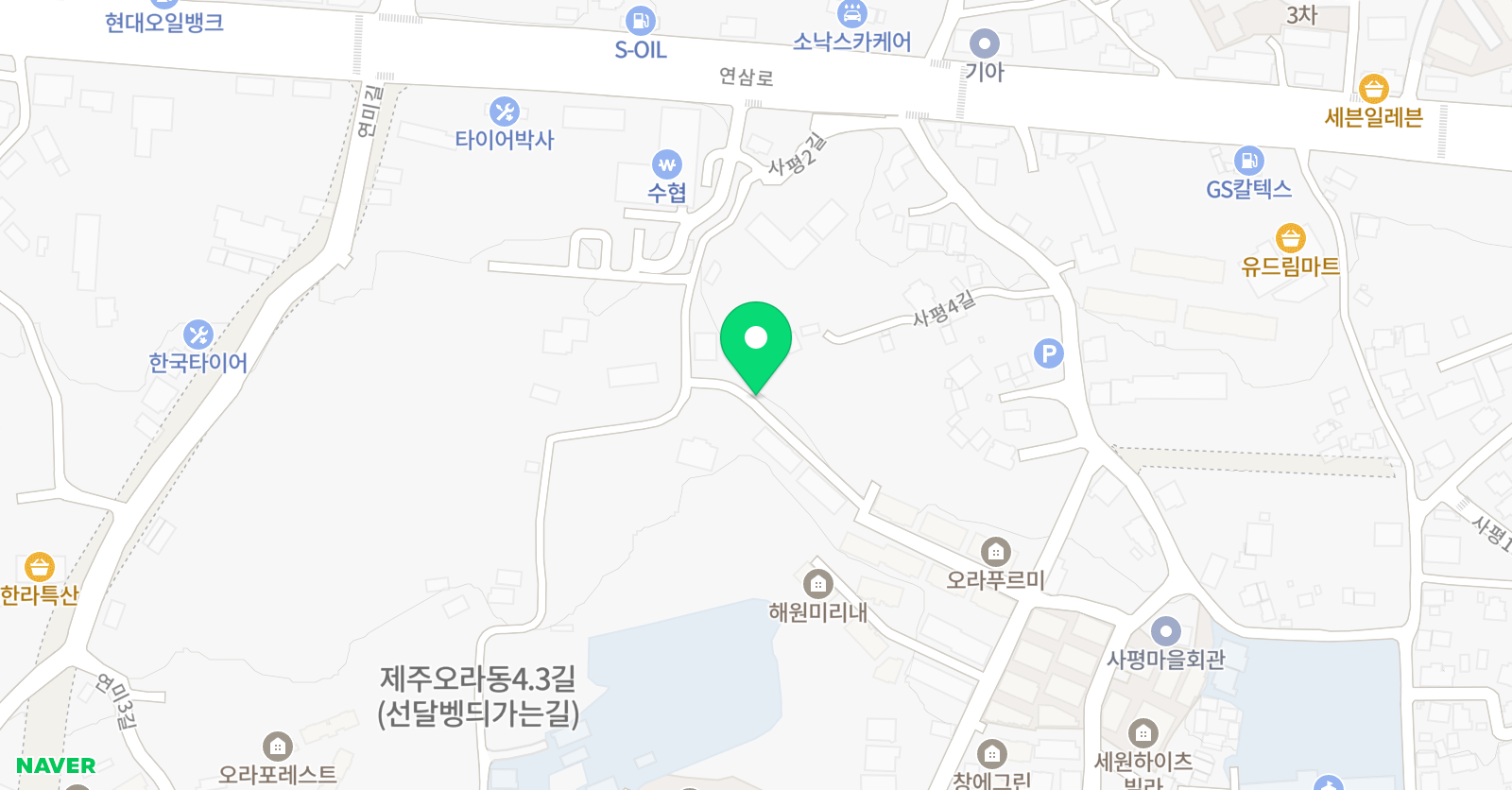 뉴파인힐 음악학원 위치
