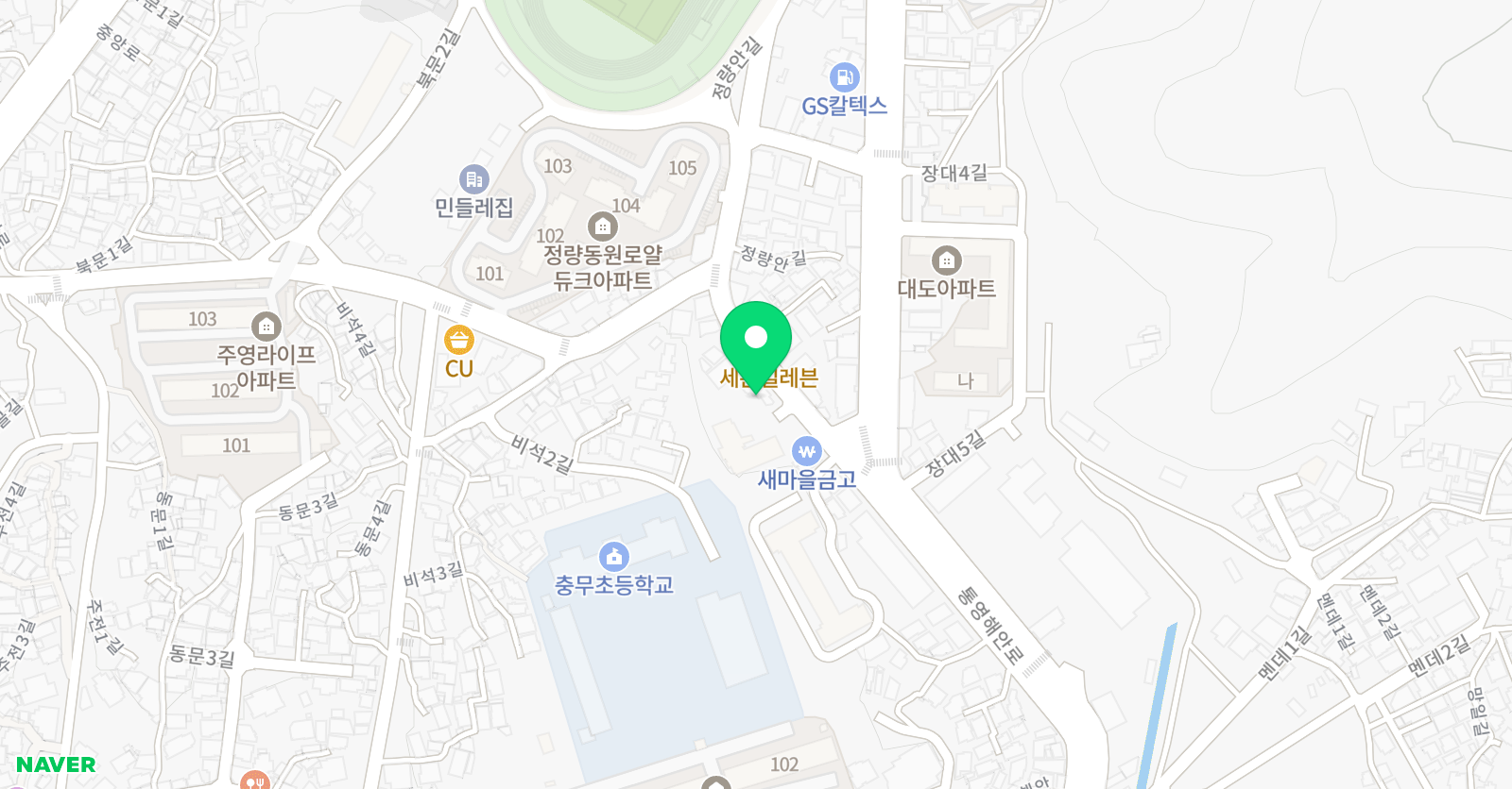 골든라이온 주짓수 위치