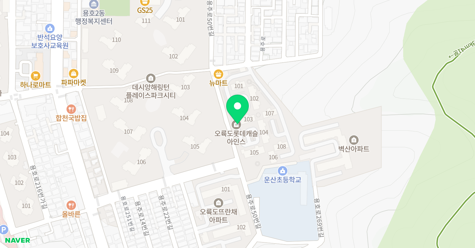 팀포커스온복싱MMA 위치