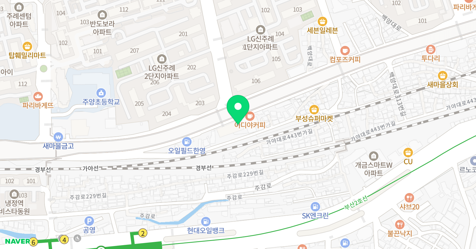 리얼 태권도장 위치