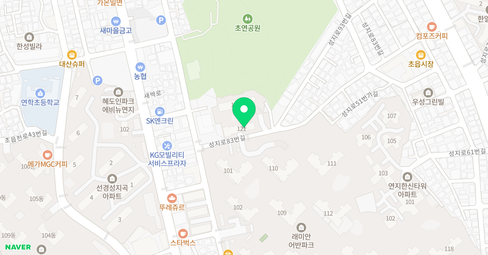 스테디 영어 위치