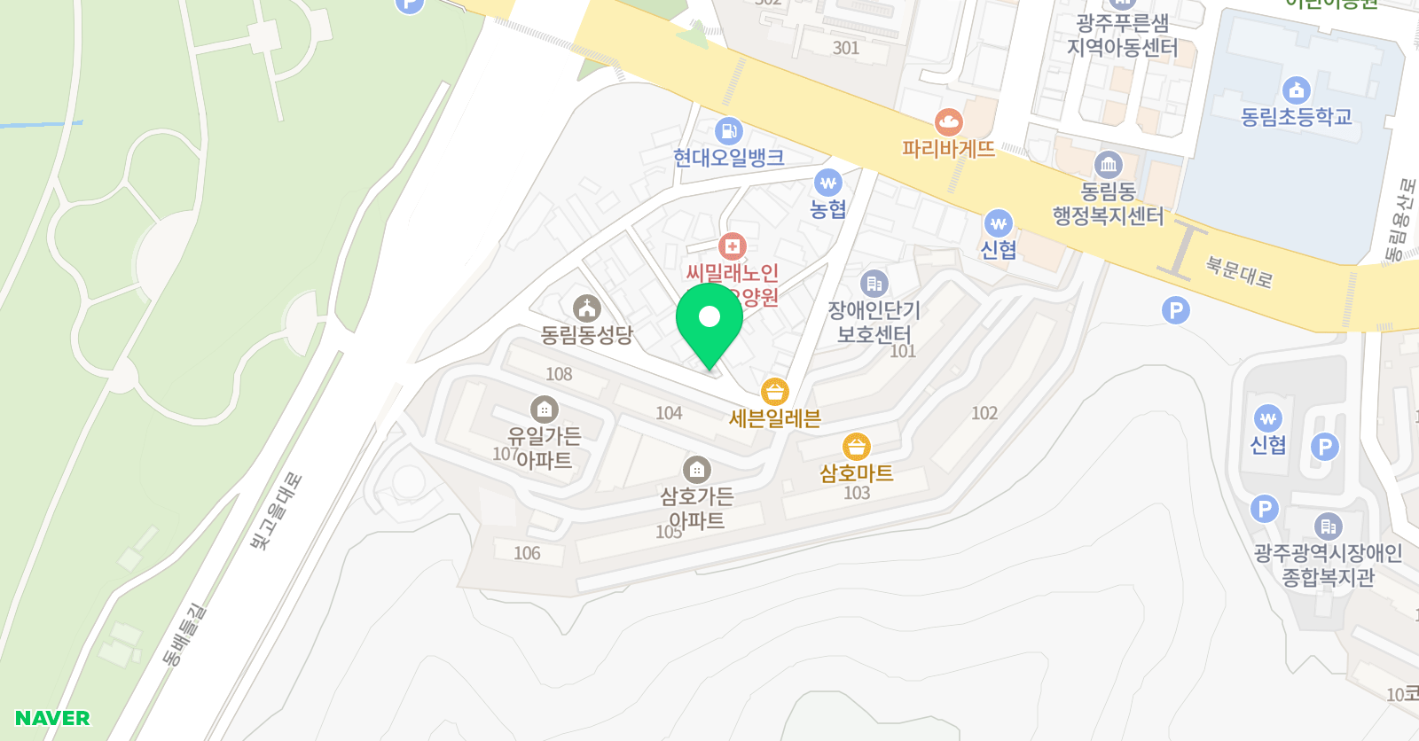 광주대성 유소년야구단 위치