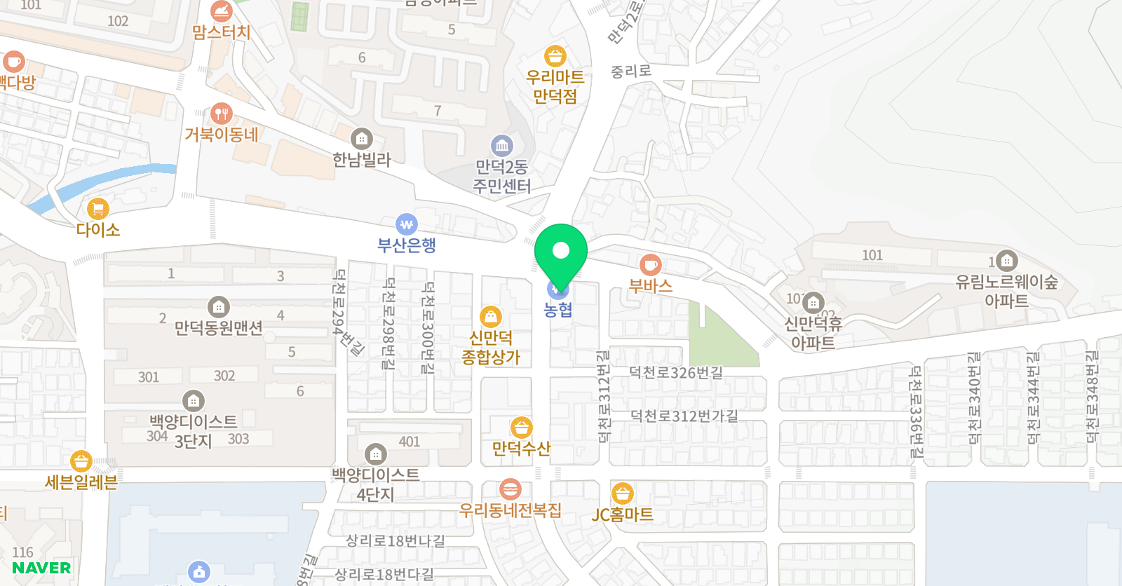 팀라이즈 위치