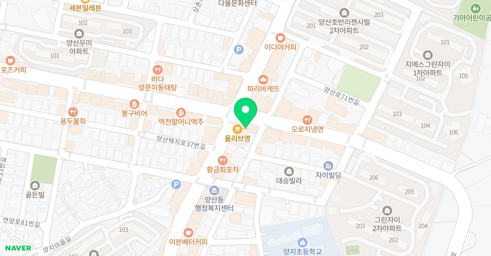 PDI 국제어학원 위치
