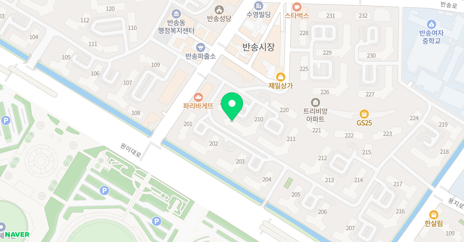 수학나무 트리비앙 A점 위치