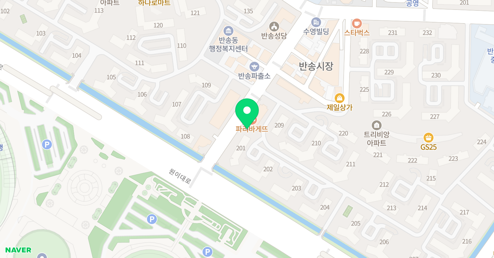 자생 어학원 위치