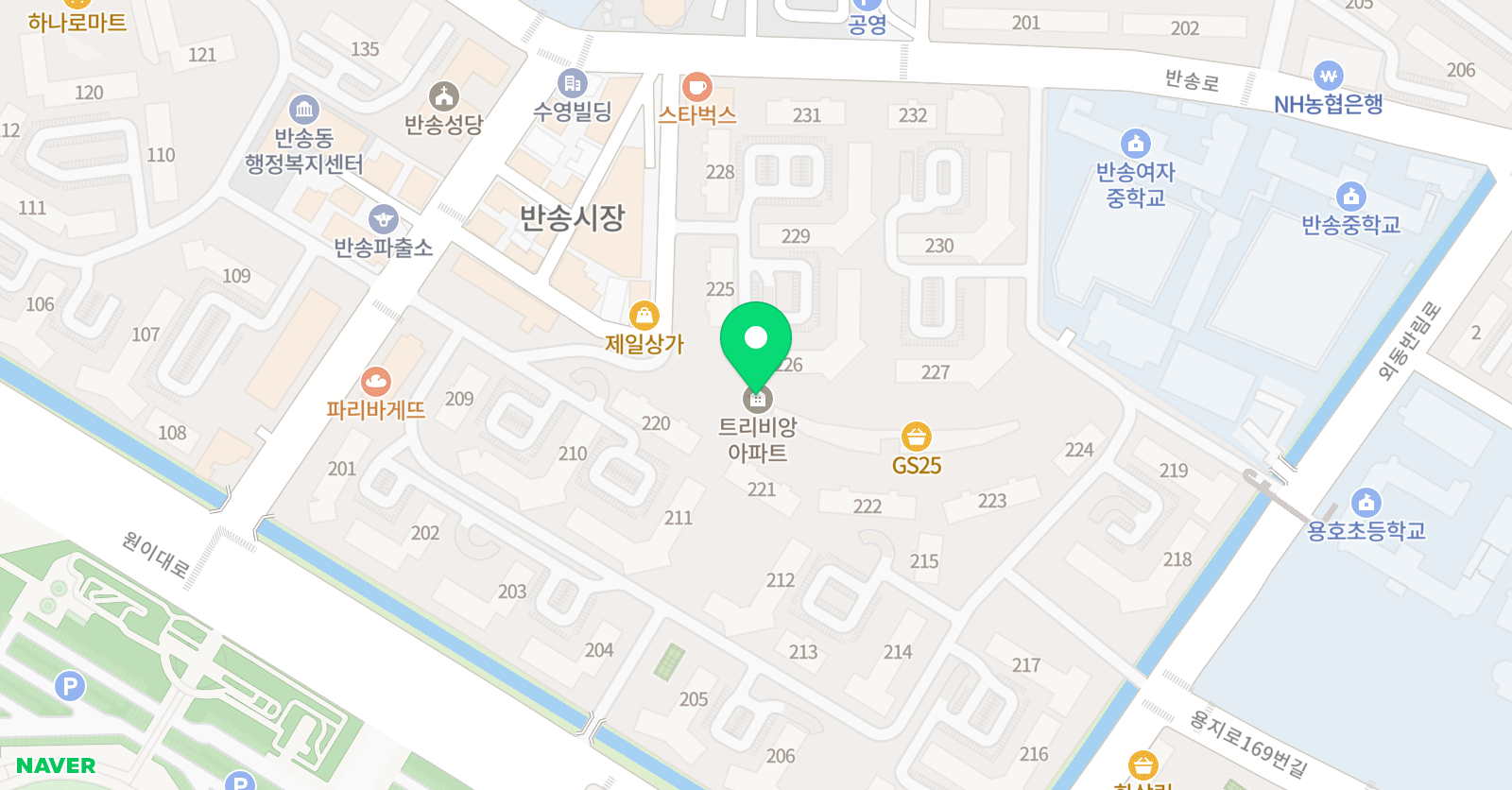 화정 피아노 위치