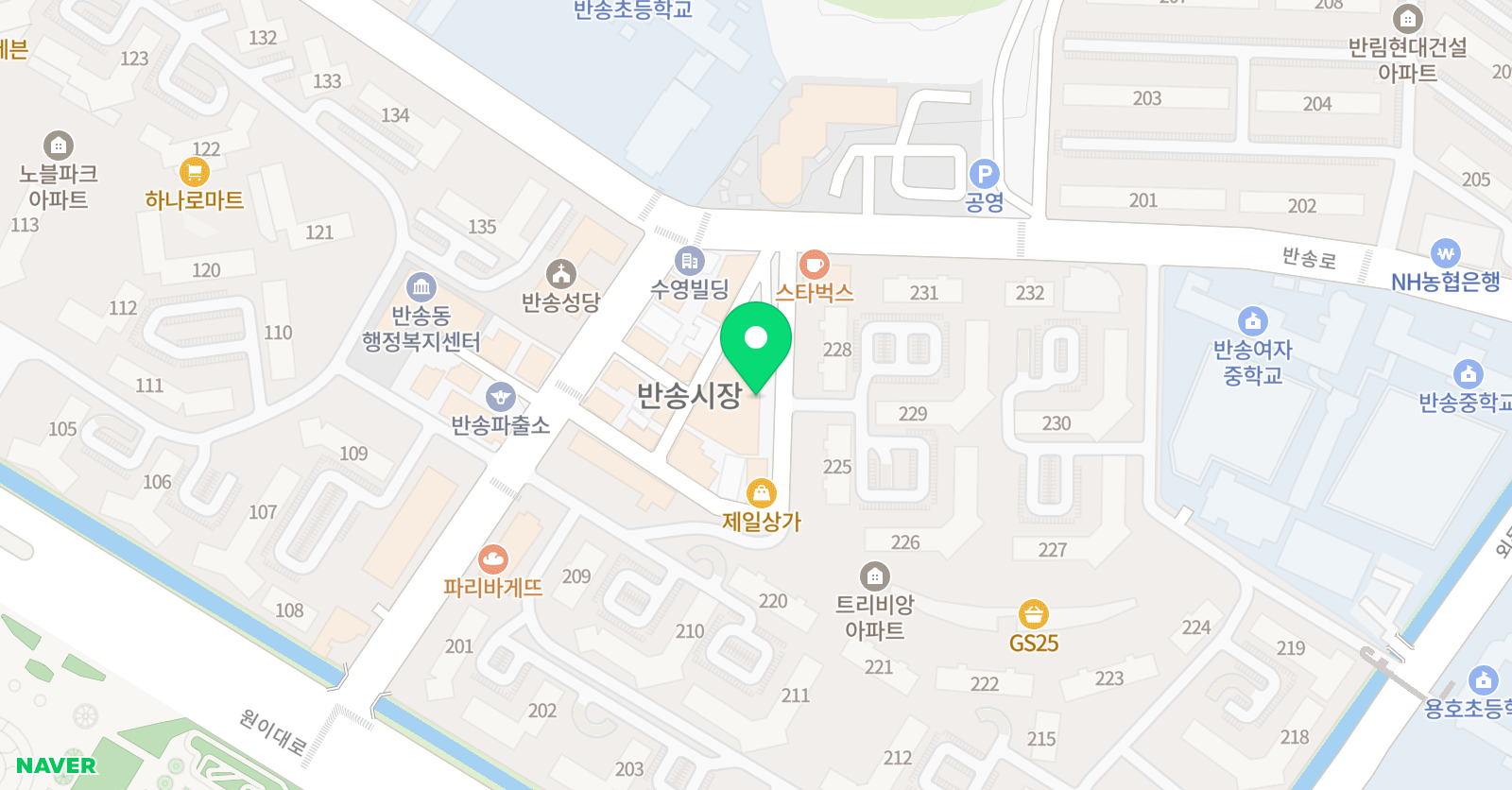 솔 음악학원 위치