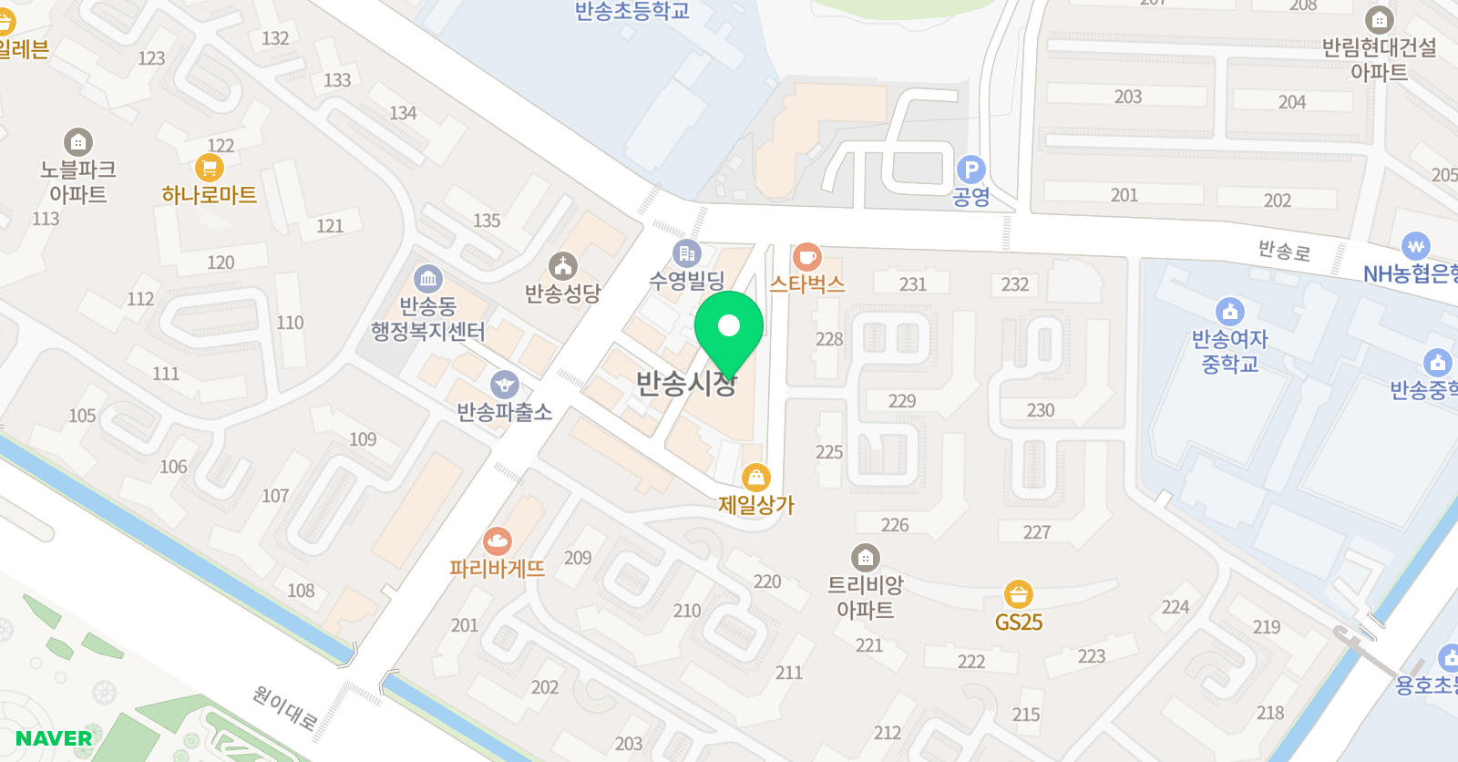 솔림 학원 위치