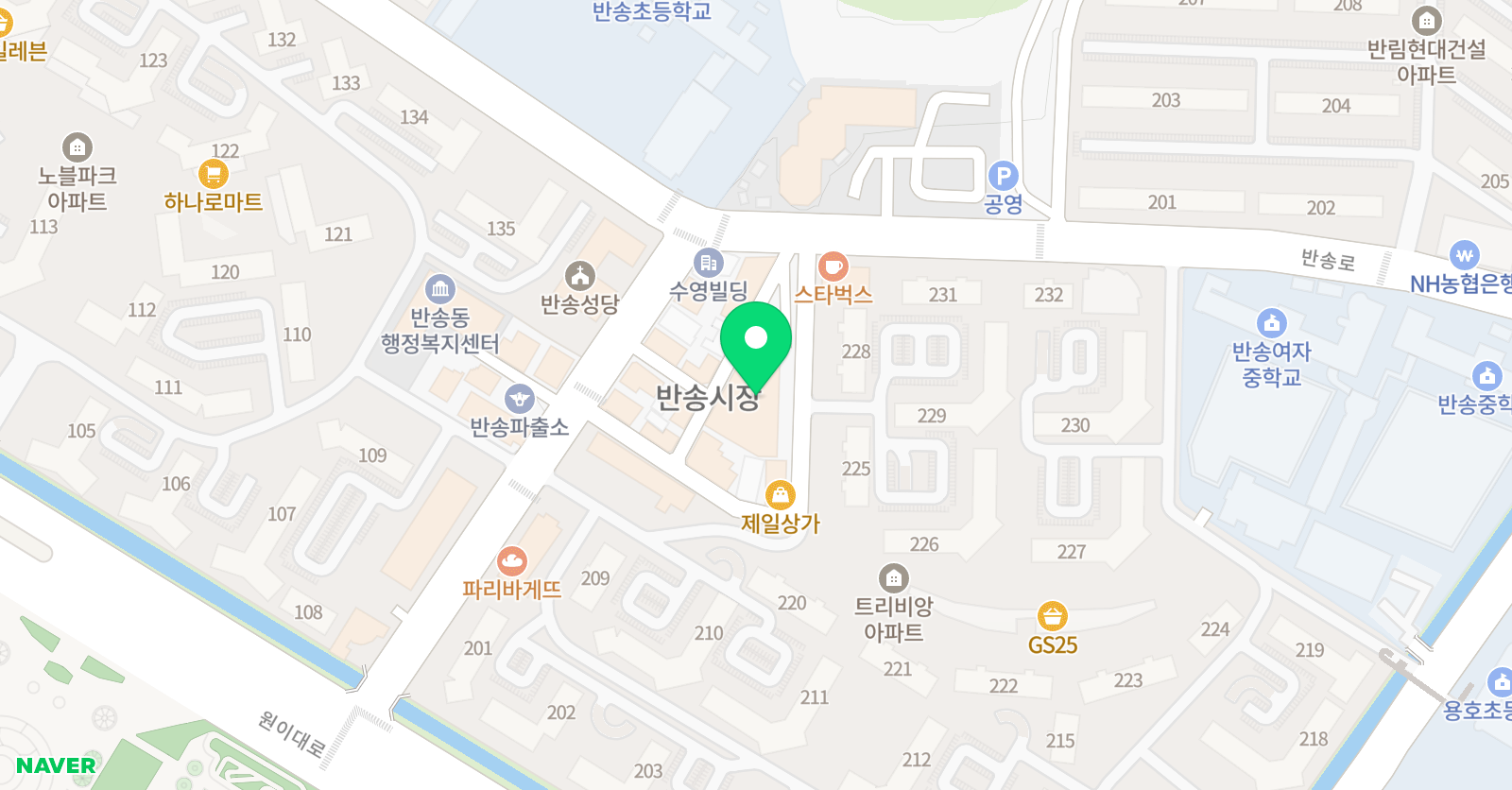 알프레드 음악학원 위치