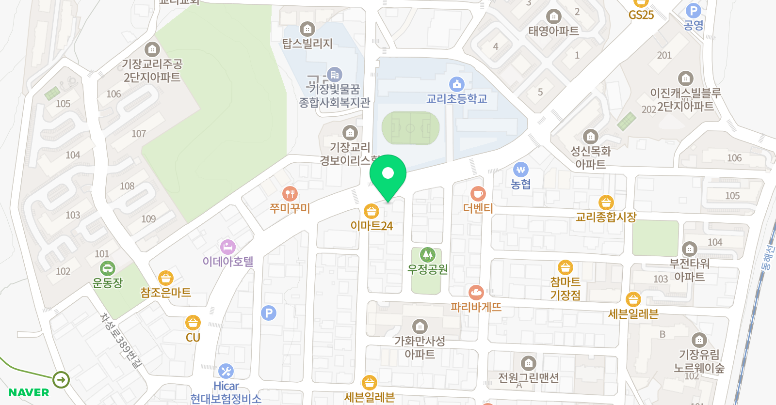 잉글리시아이 교리초점 위치