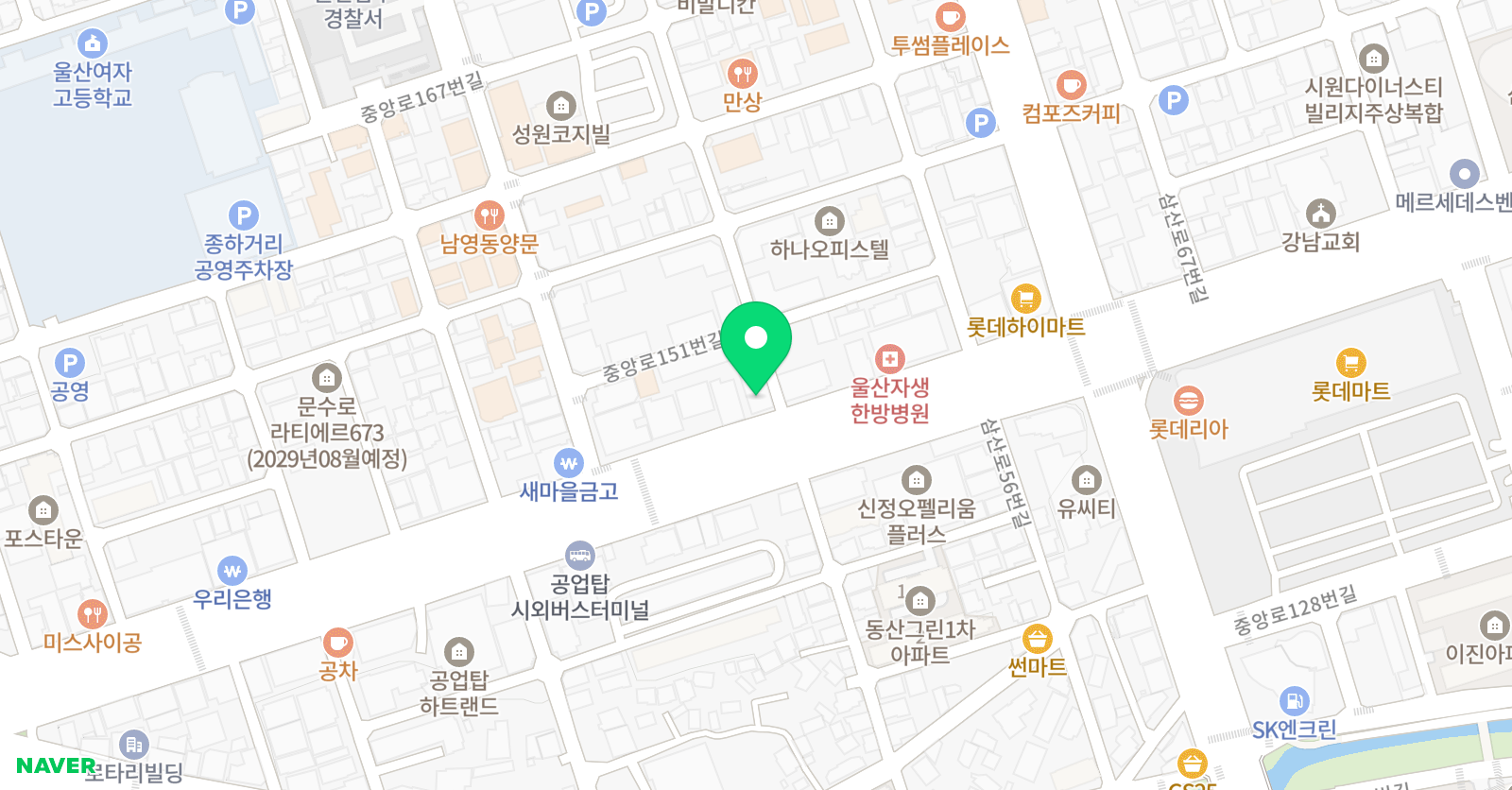 알파카 미술학원 위치