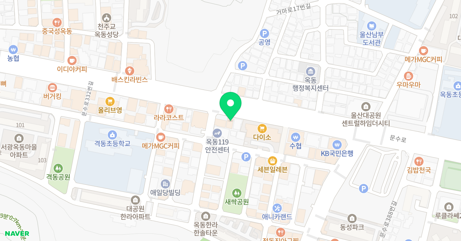리드인 디아채점 위치