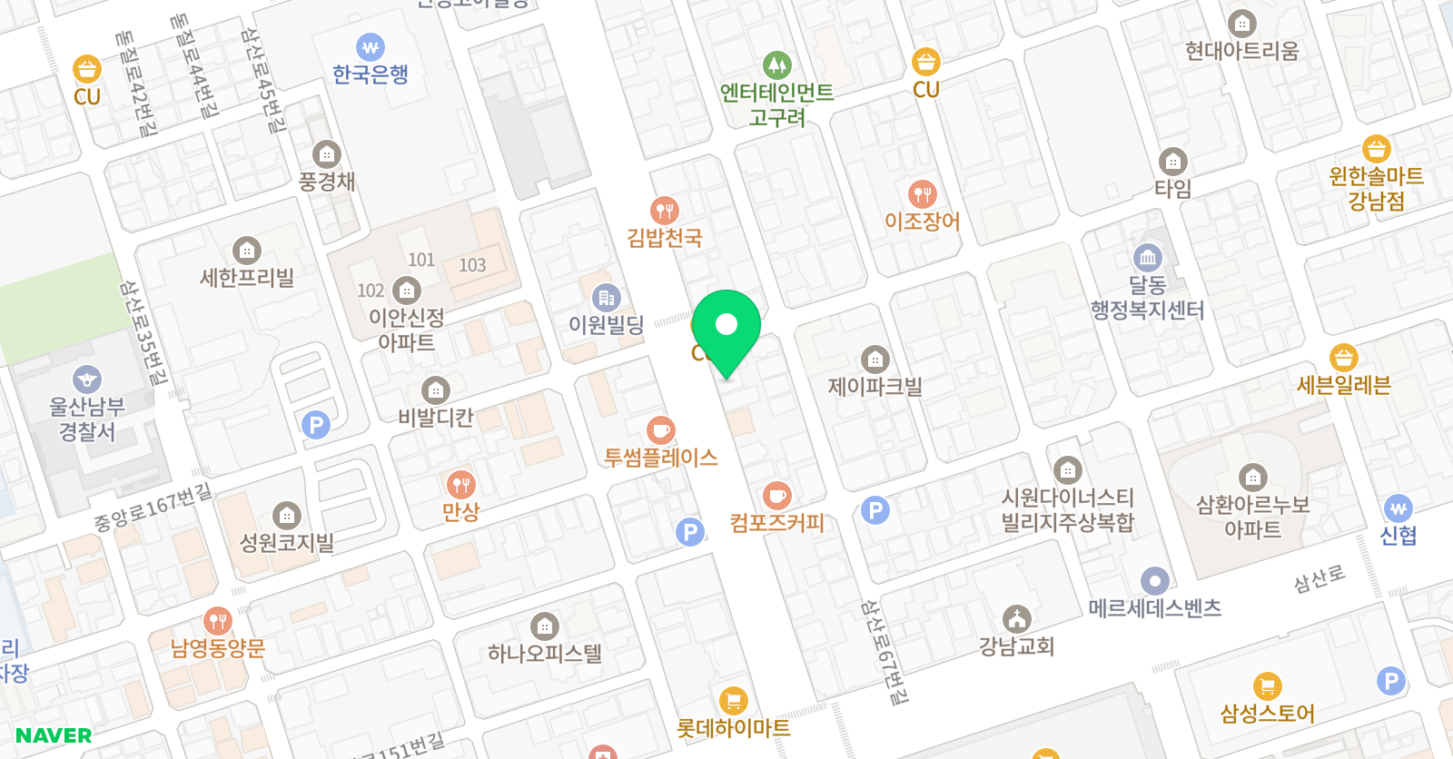 애니숲 미술학원 시청점 위치