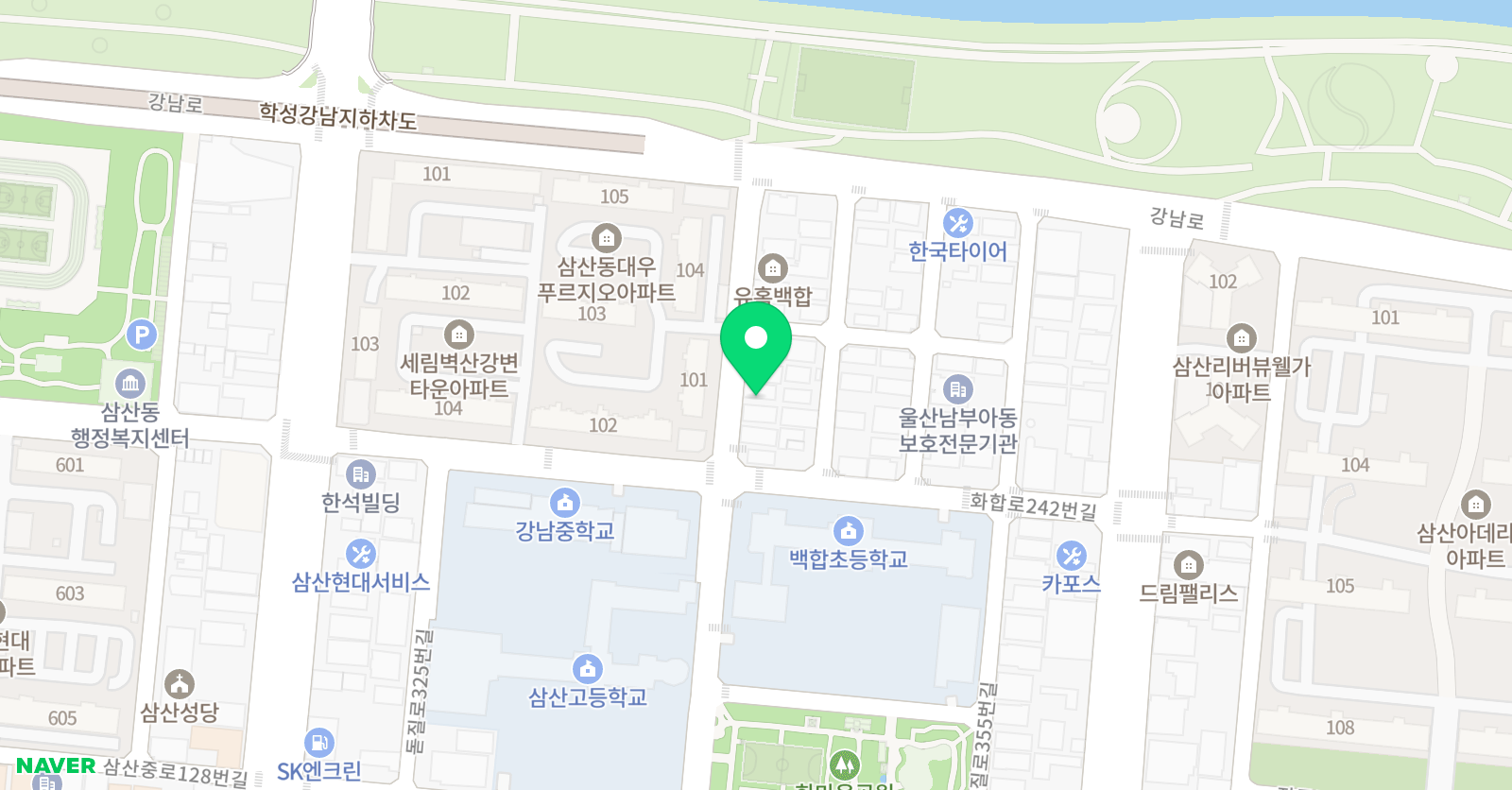 채이 영어학원 위치