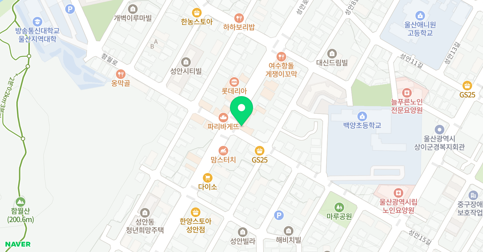 용인대한빛 태권도 위치