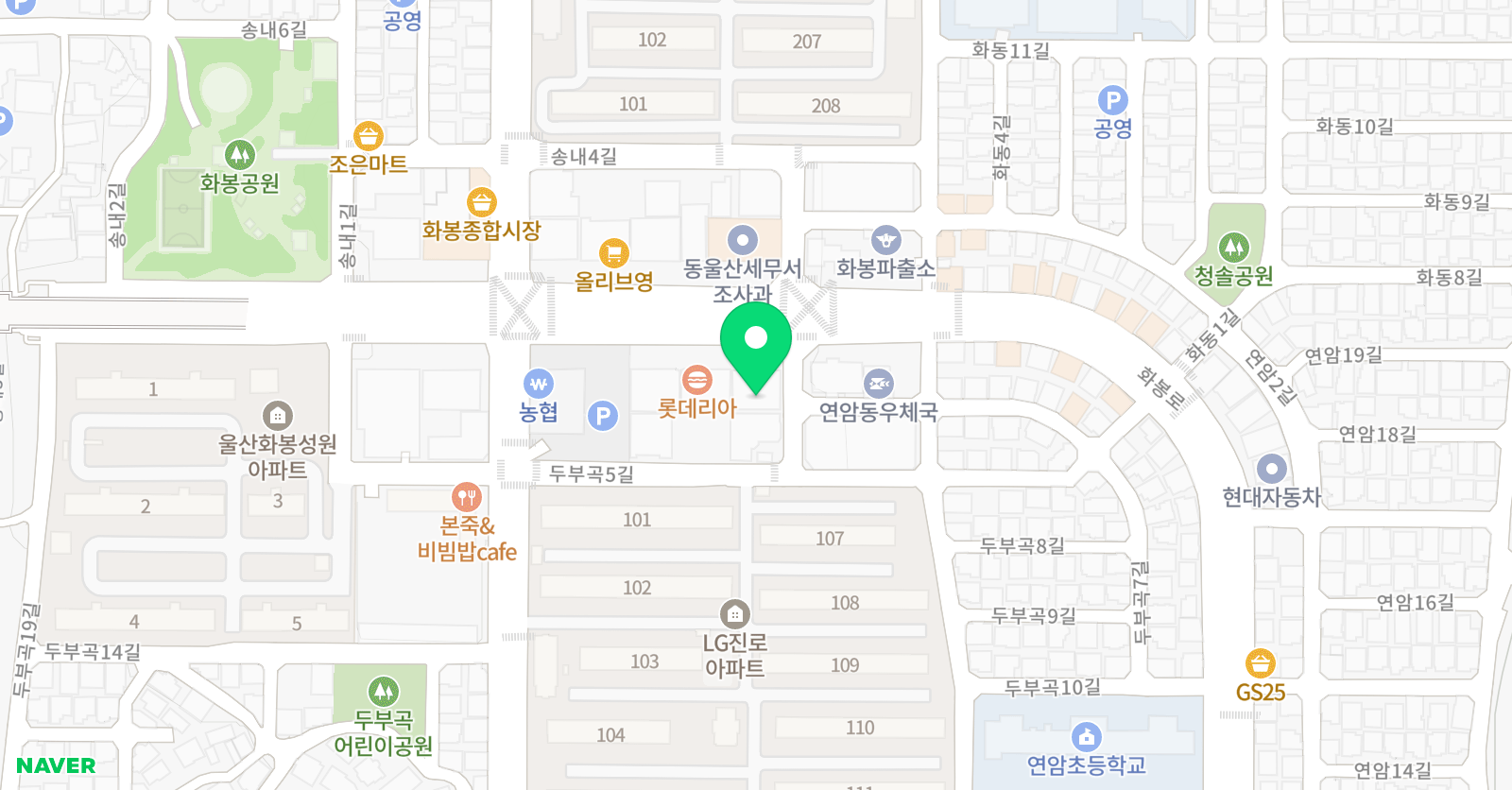 신디 학원 위치