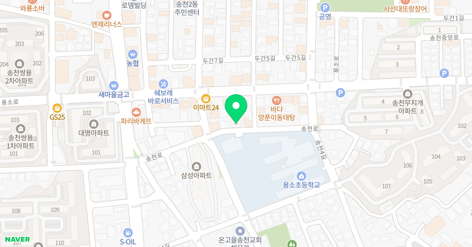 최선애 바이올린 위치