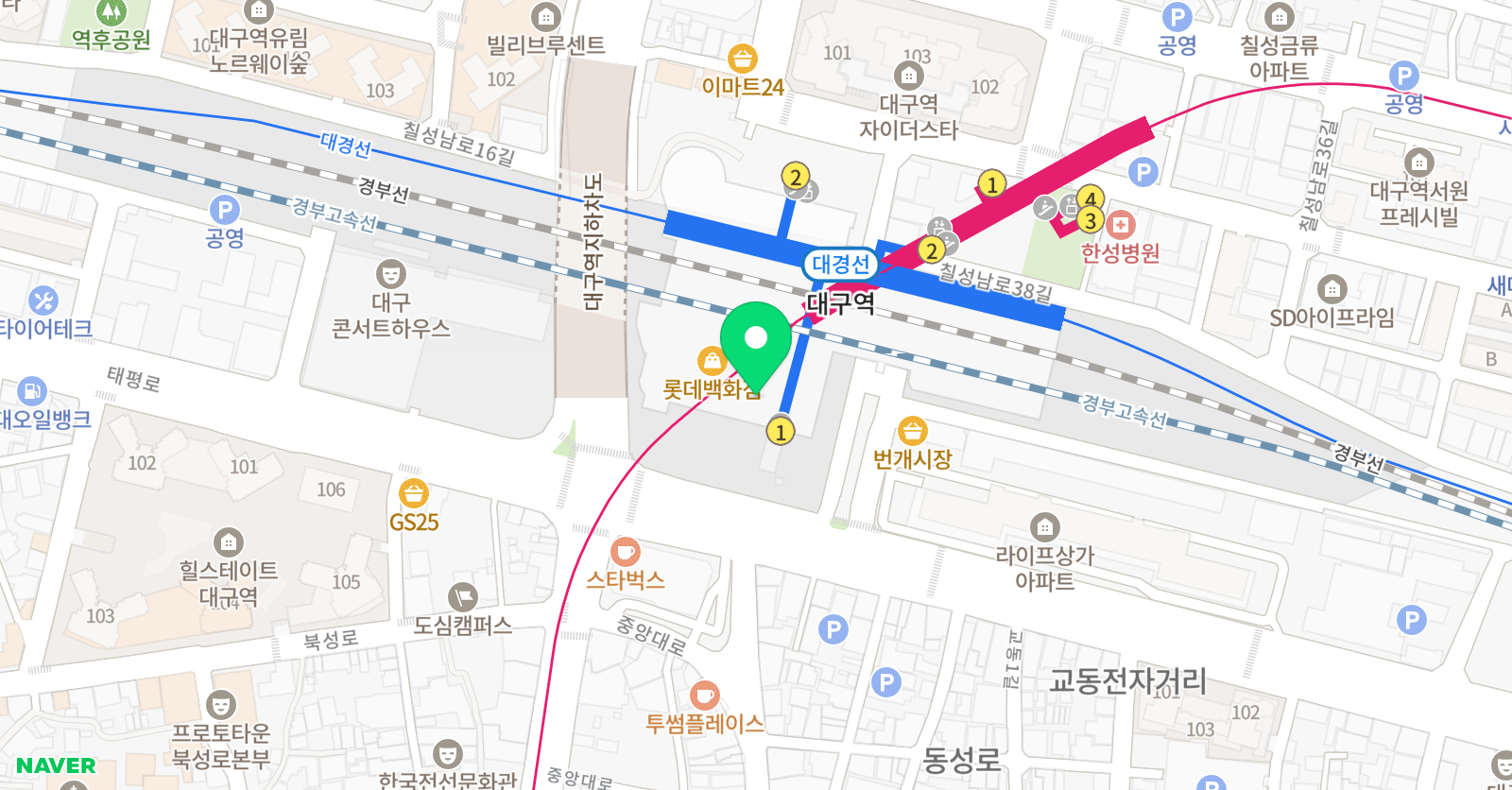 뮤닥터 롯데백화점 대구직영점 위치