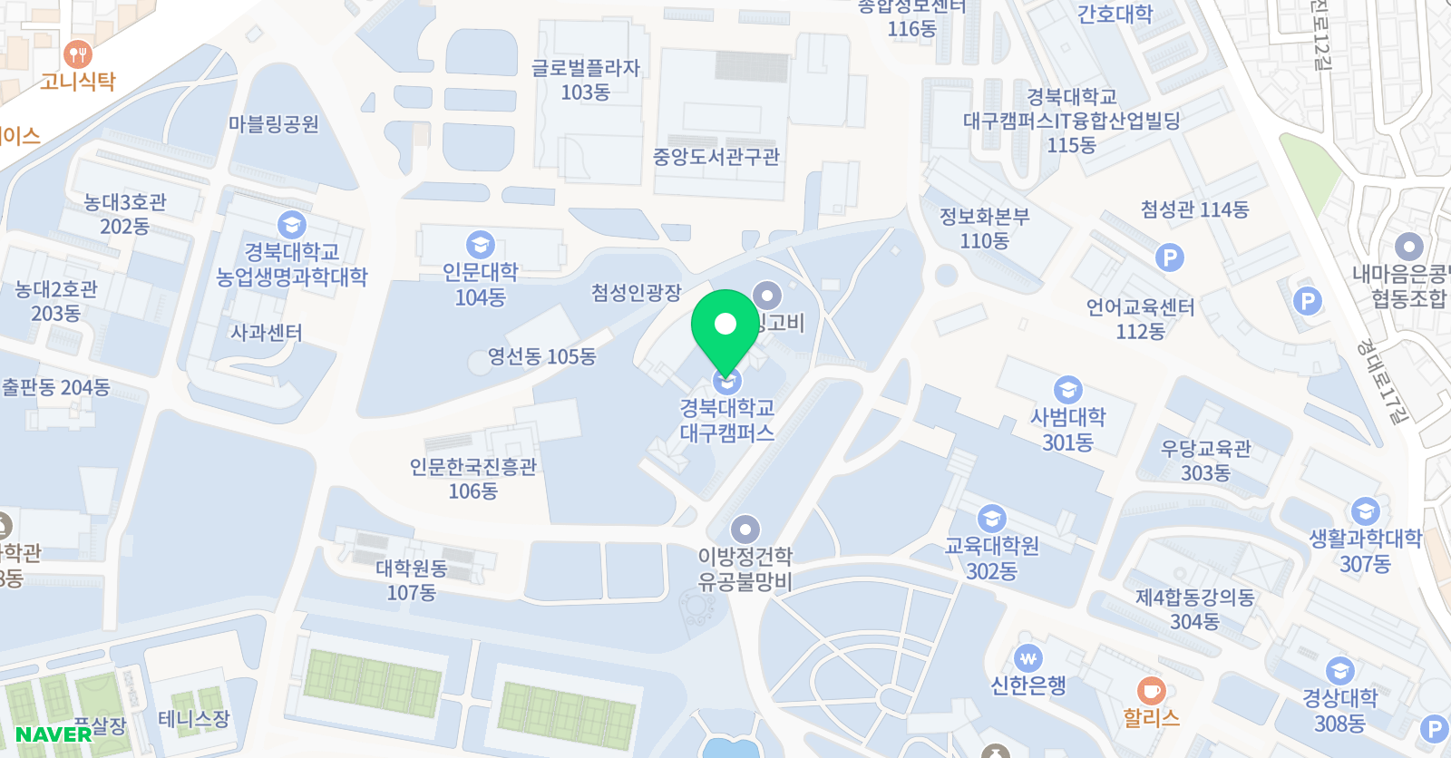 더드림 발리볼 배구교실 위치
