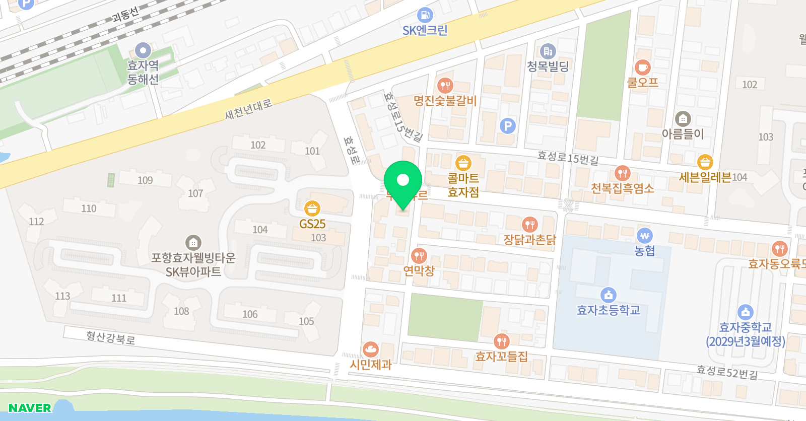 페디아플러스 포항남구브랜치 위치