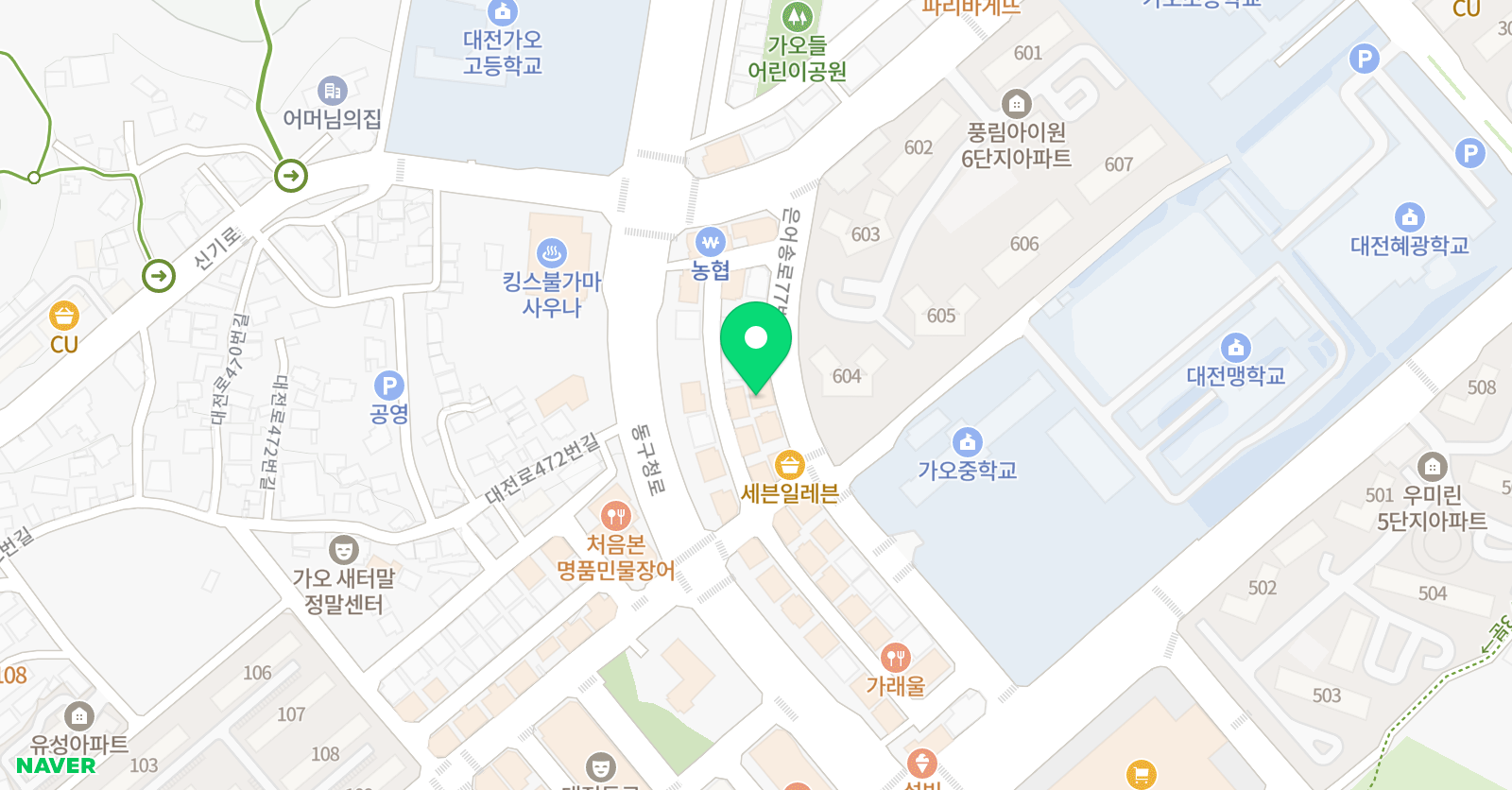 이은정 바이올린 위치