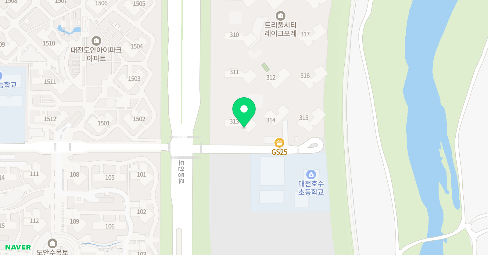 한솔노피곰 대전도안갑천3블럭점 위치